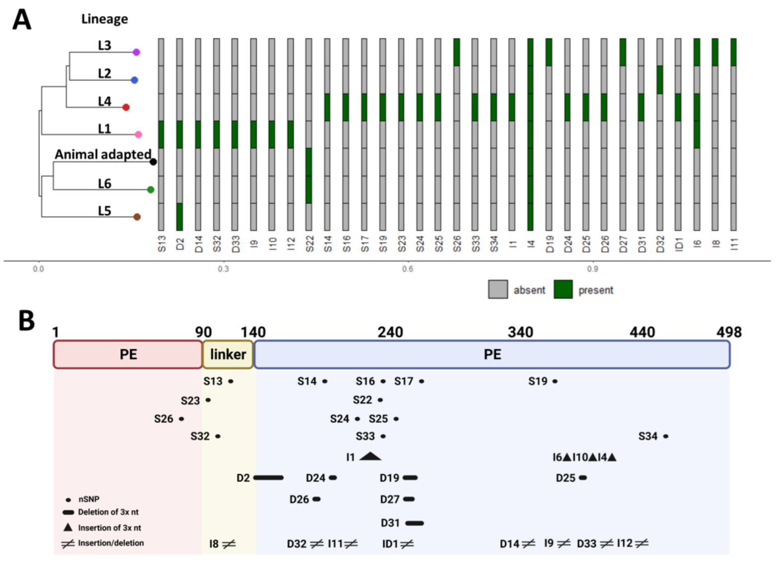 Biomolecules 13 00812 g009