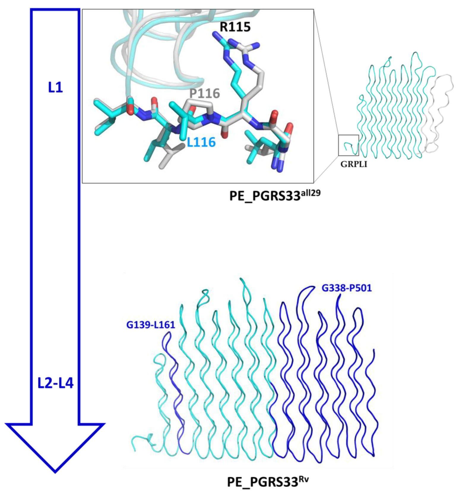 Biomolecules 13 00812 g010