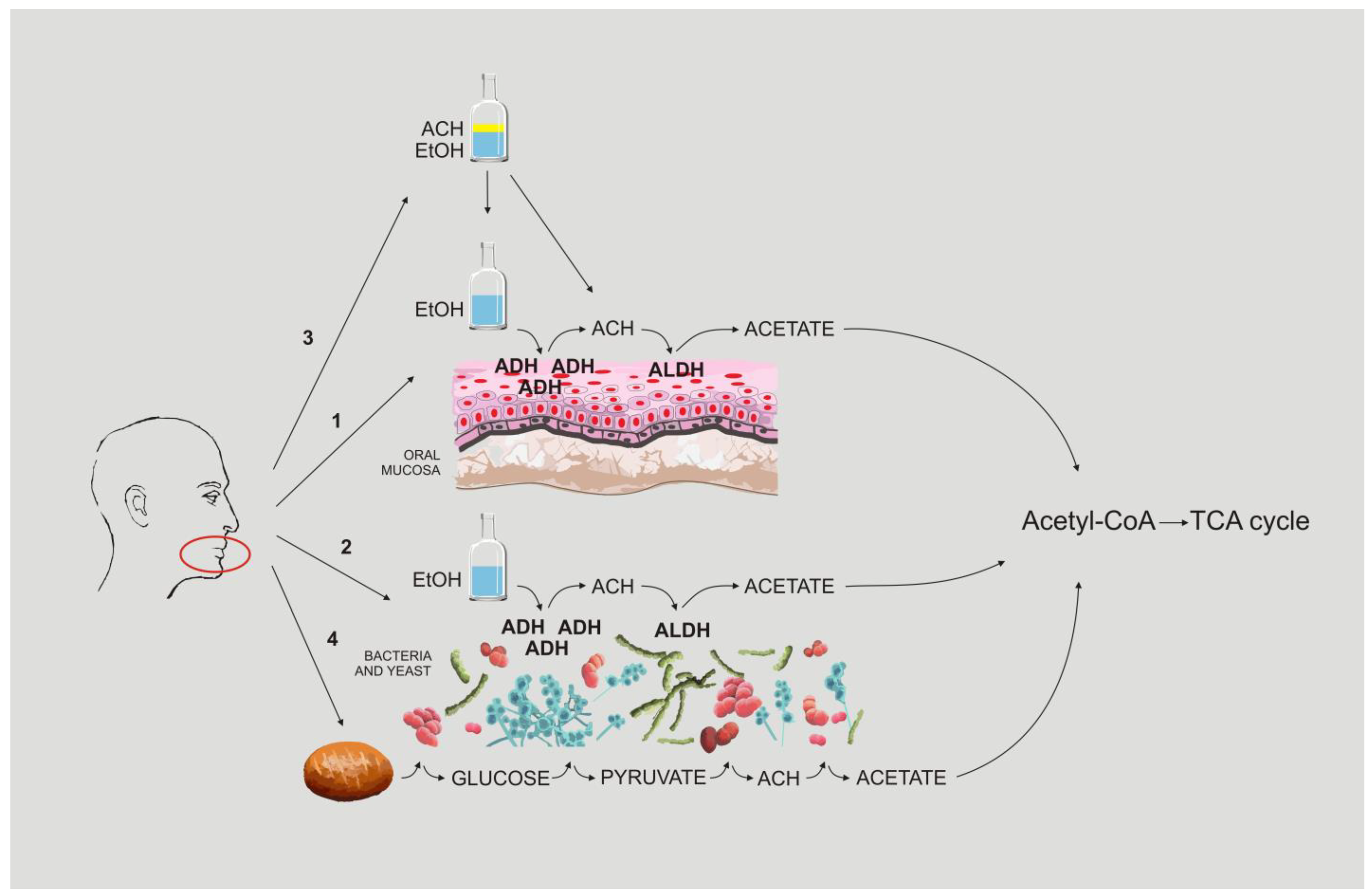 Biomolecules 13 00815 g001