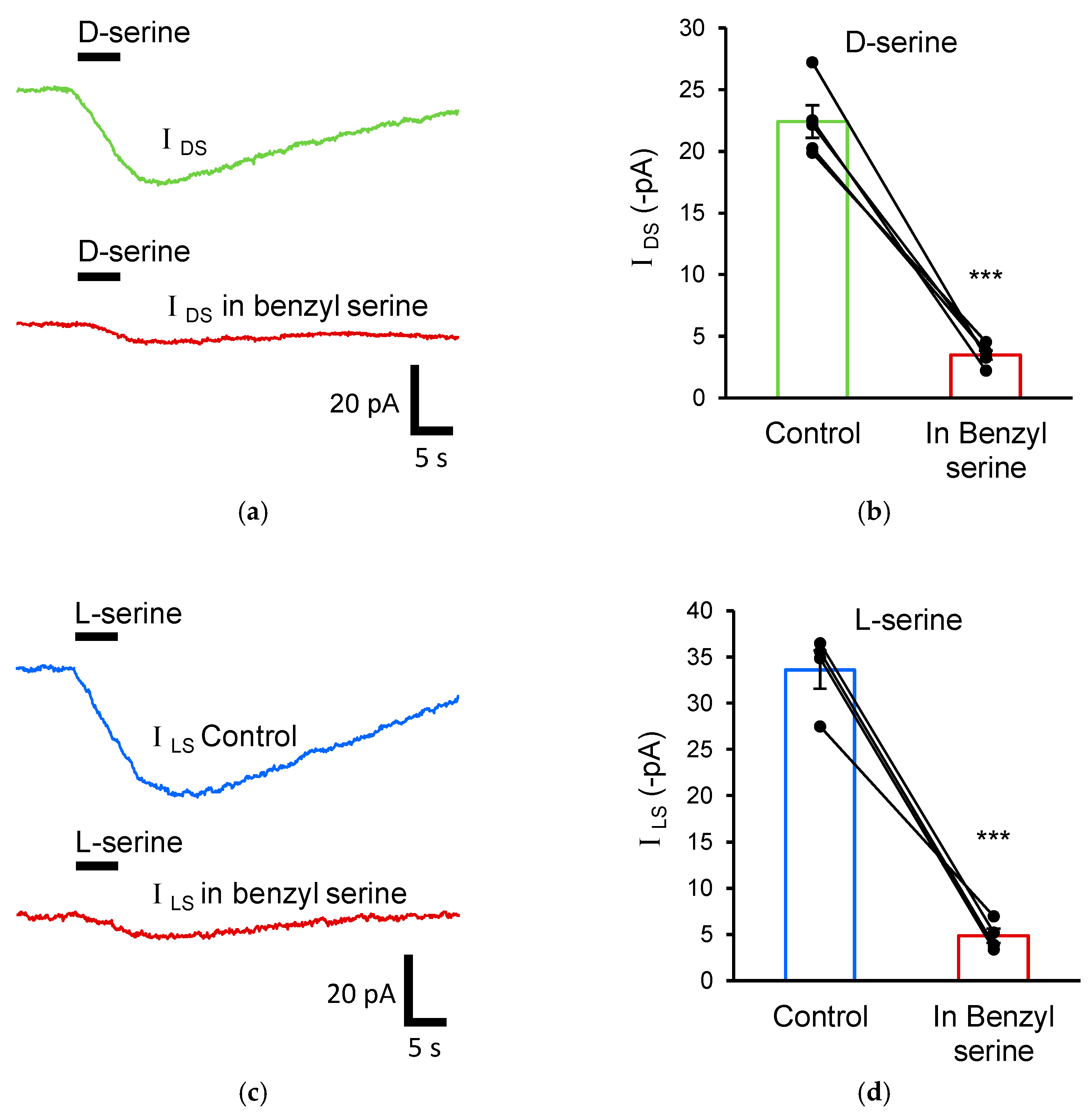 Biomolecules 13 00819 g003
