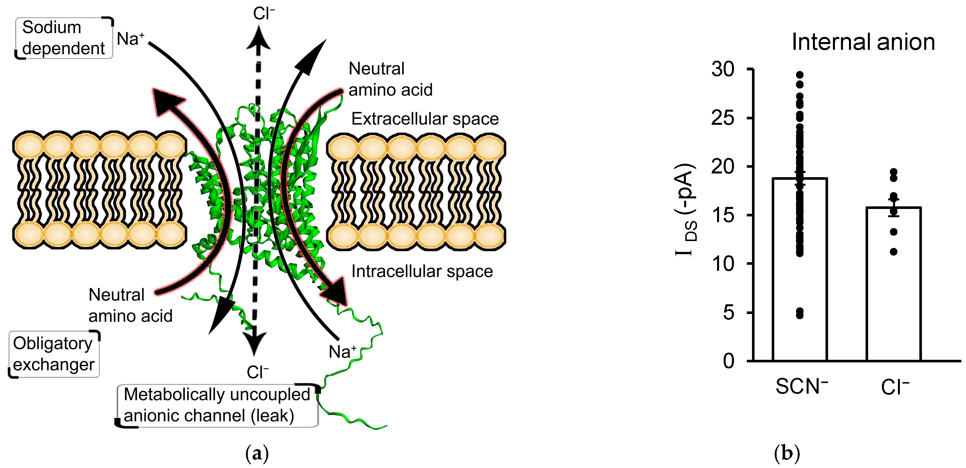 Biomolecules 13 00819 g005