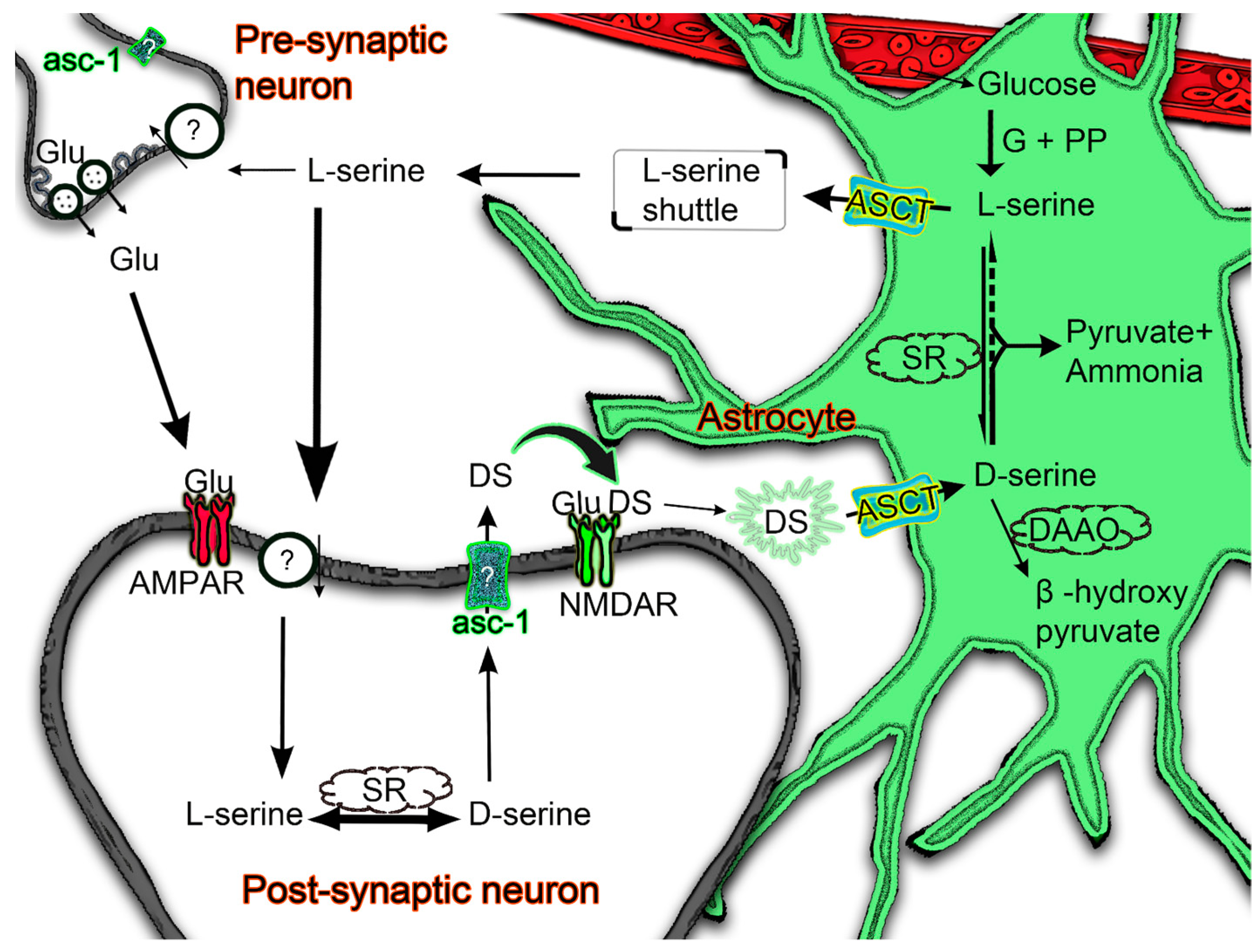 Biomolecules 13 00819 g007