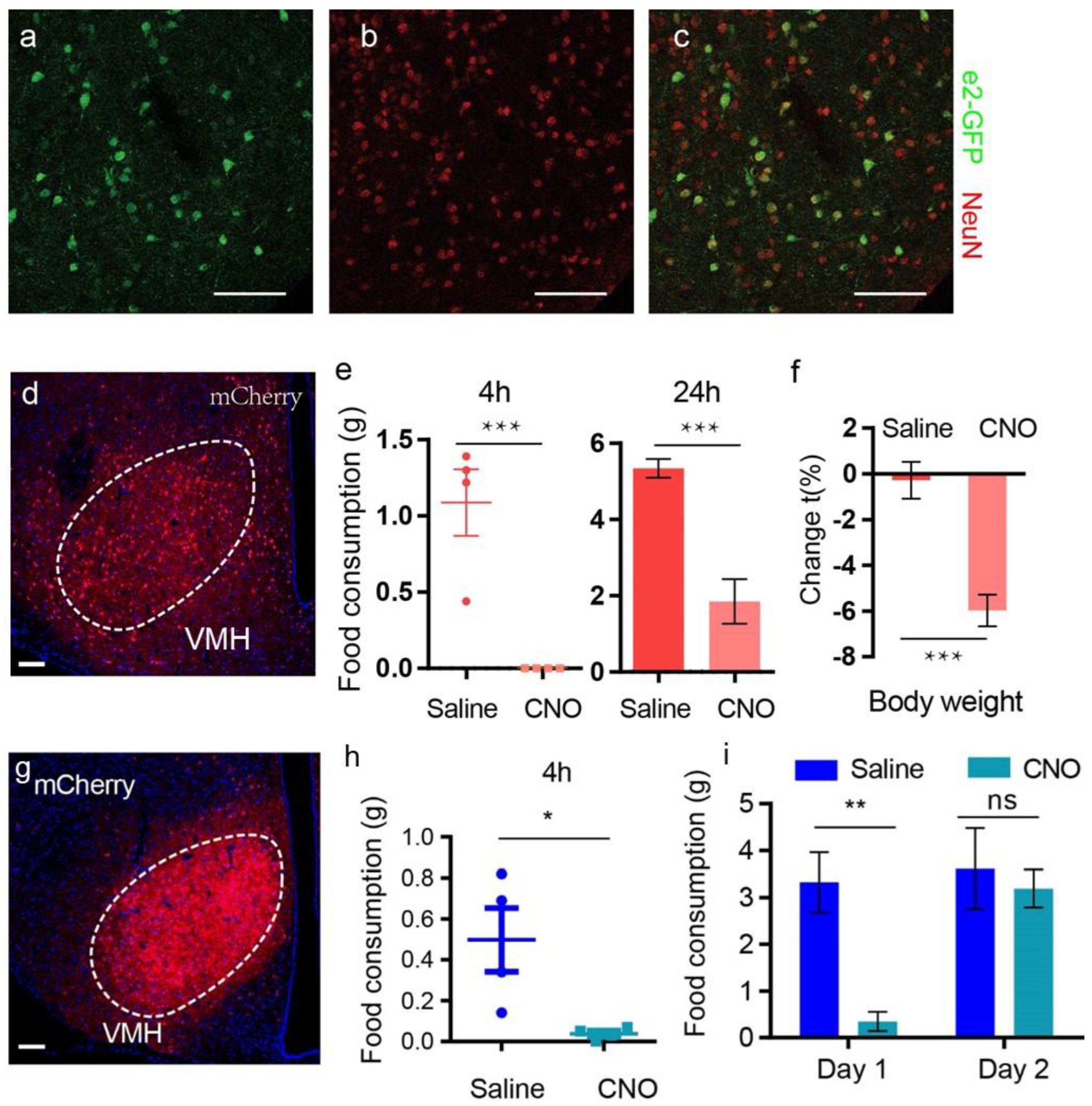 Biomolecules 13 00822 g005 Biomolecules 13 00822 g005