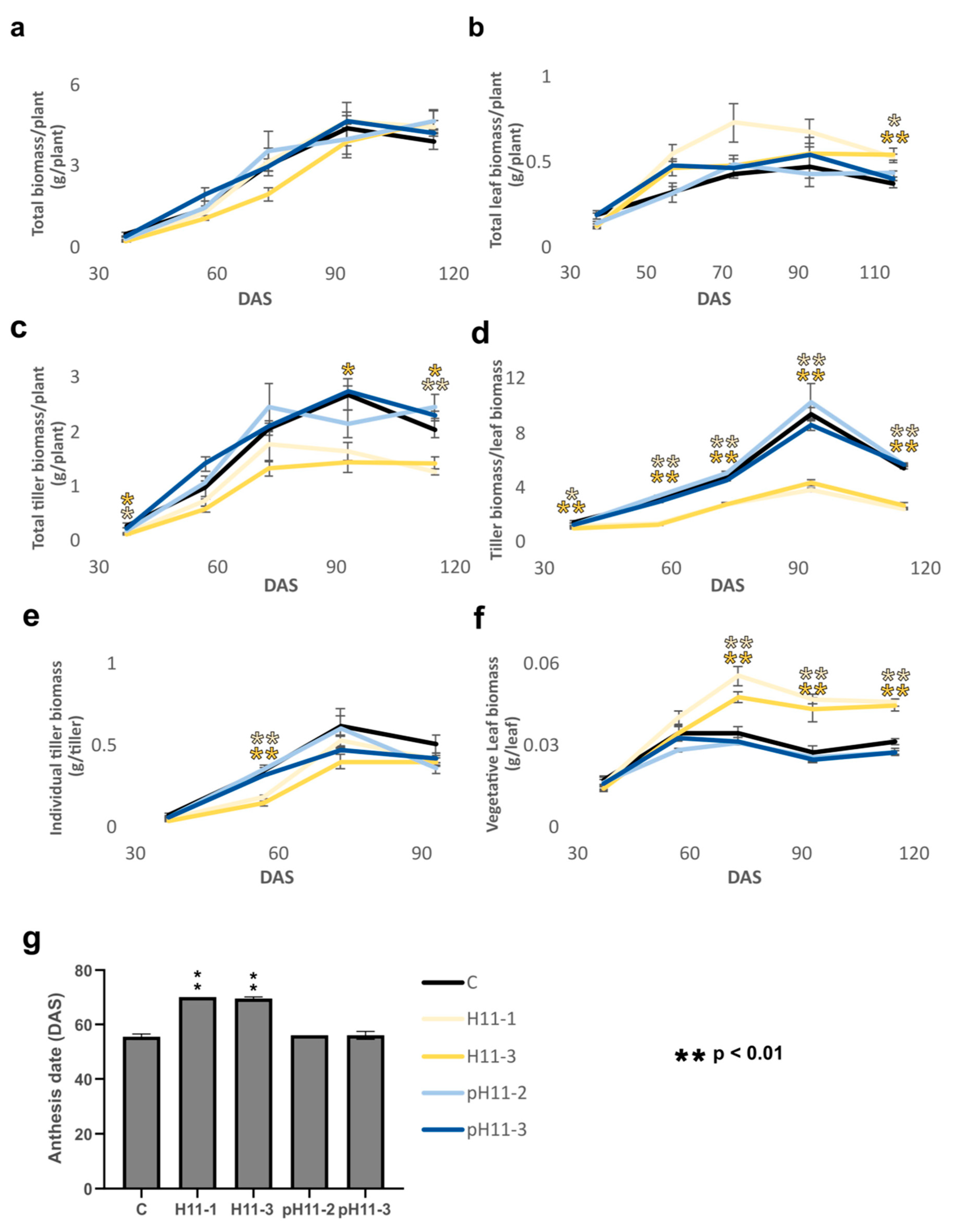 Biomolecules 13 00826 g001