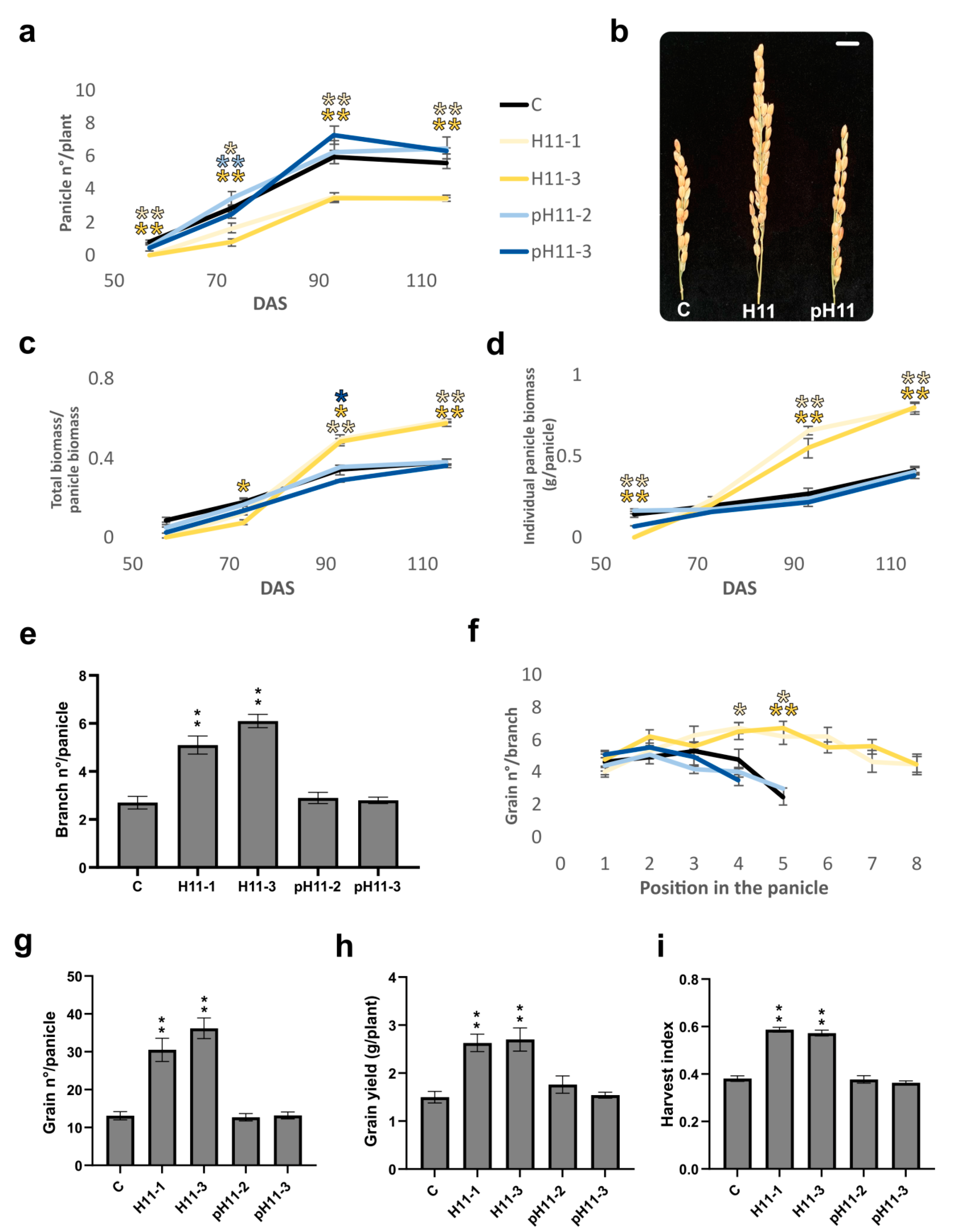Biomolecules 13 00826 g002