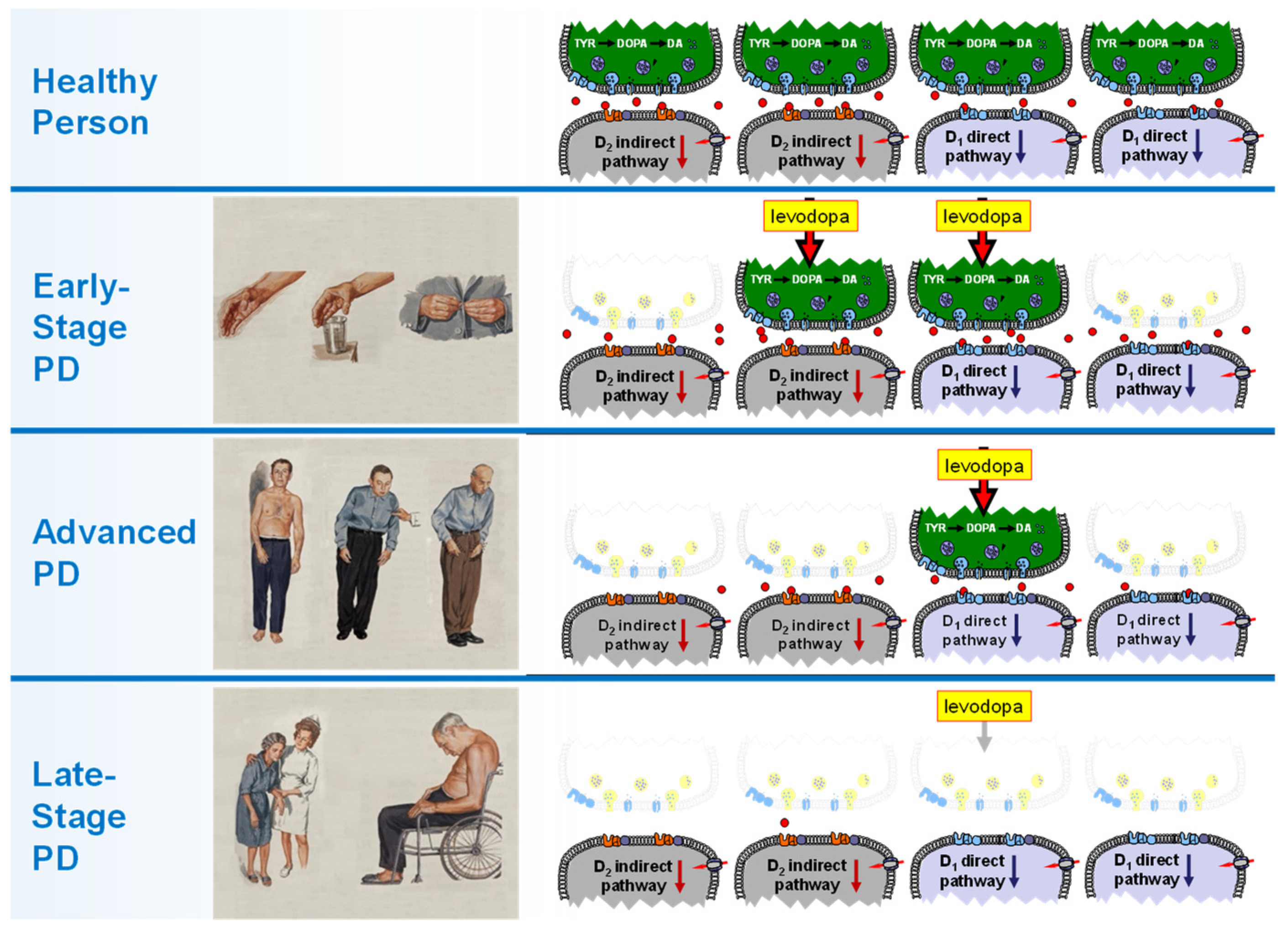 Biomolecules 13 00829 g002