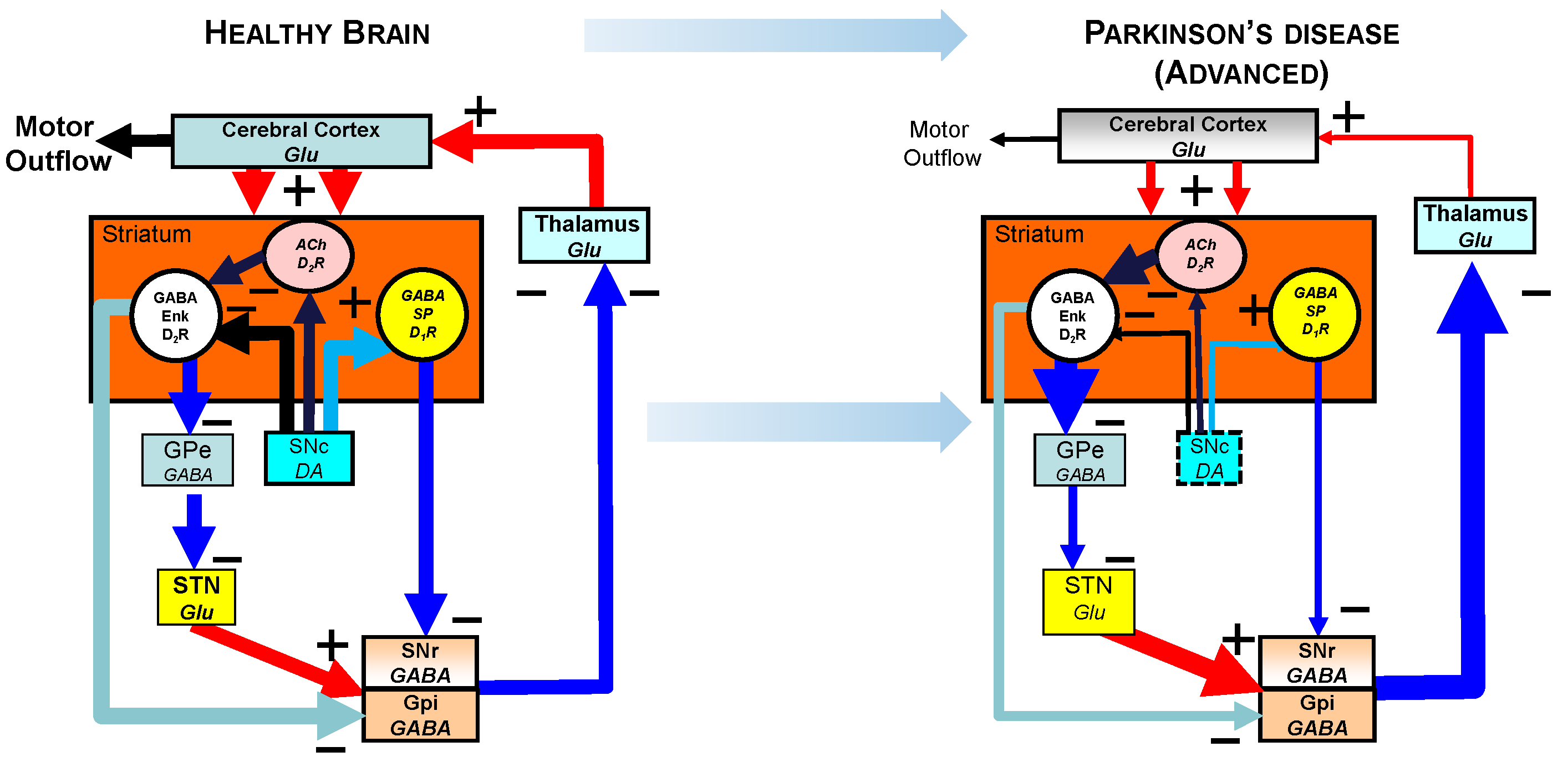 Biomolecules 13 00829 g003