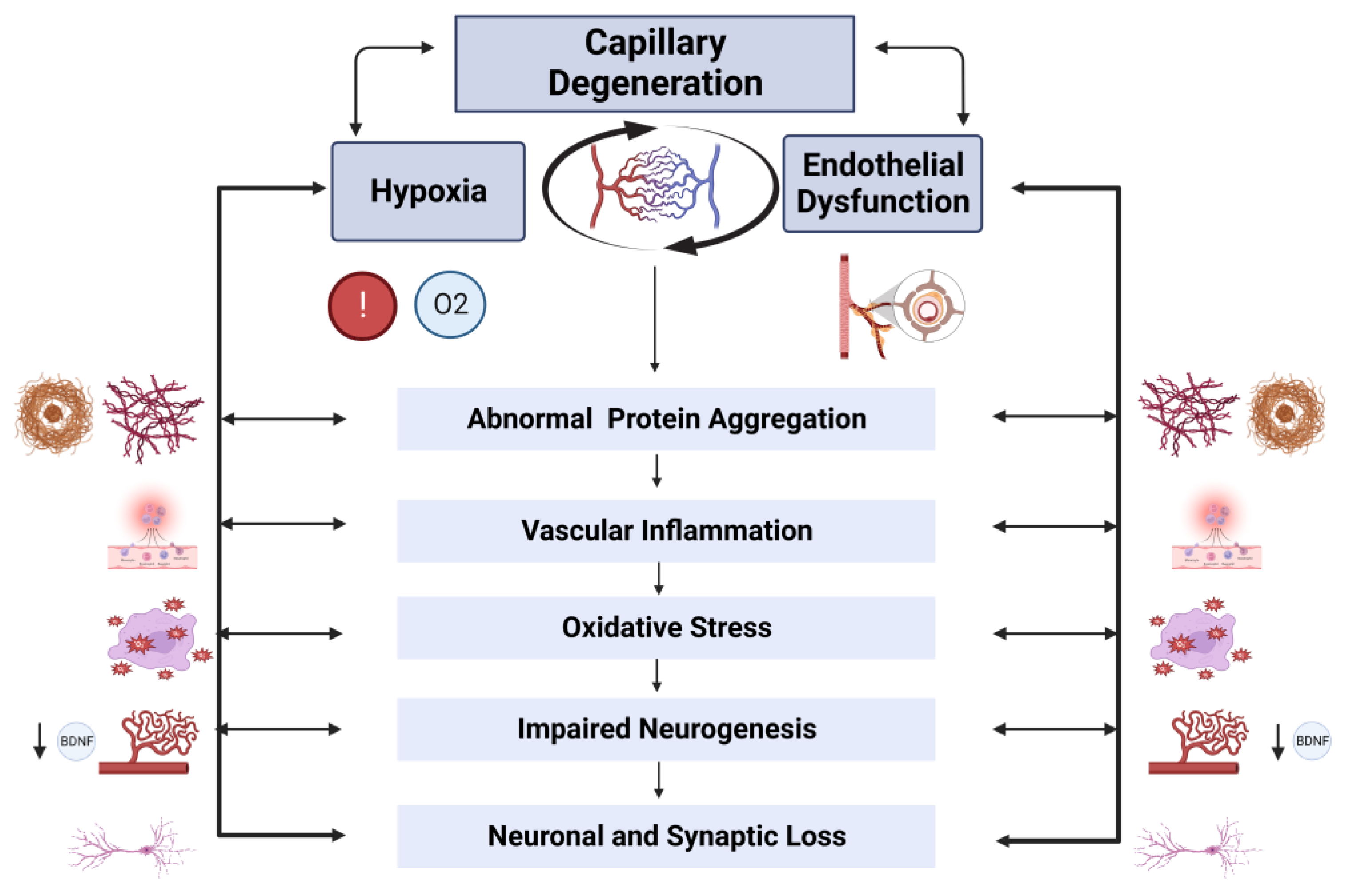 Biomolecules 13 00830 g001 Biomolecules 13 00830 g001