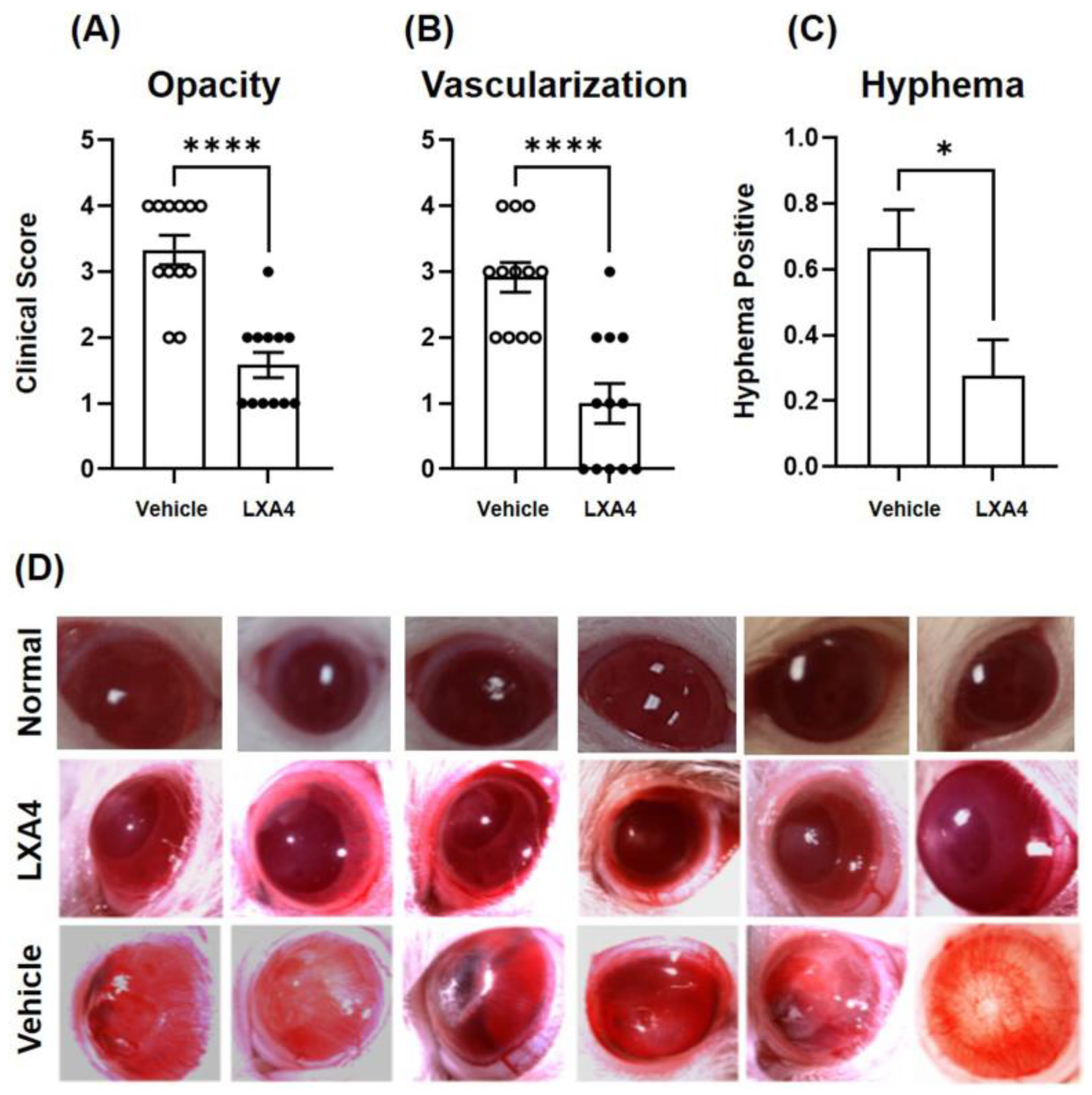 Biomolecules 13 00831 g001 Biomolecules 13 00831 g001
