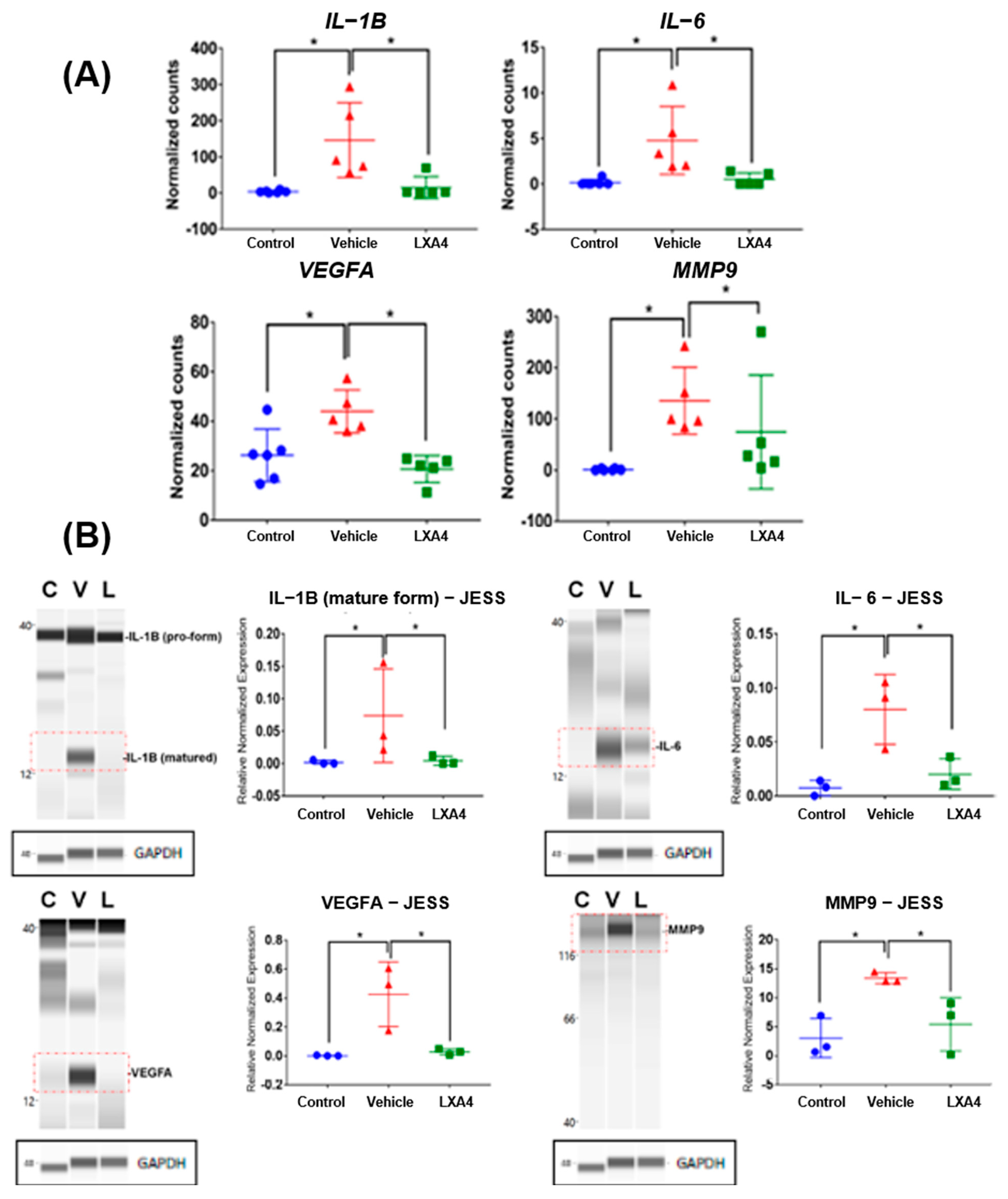 Biomolecules 13 00831 g002 Biomolecules 13 00831 g002