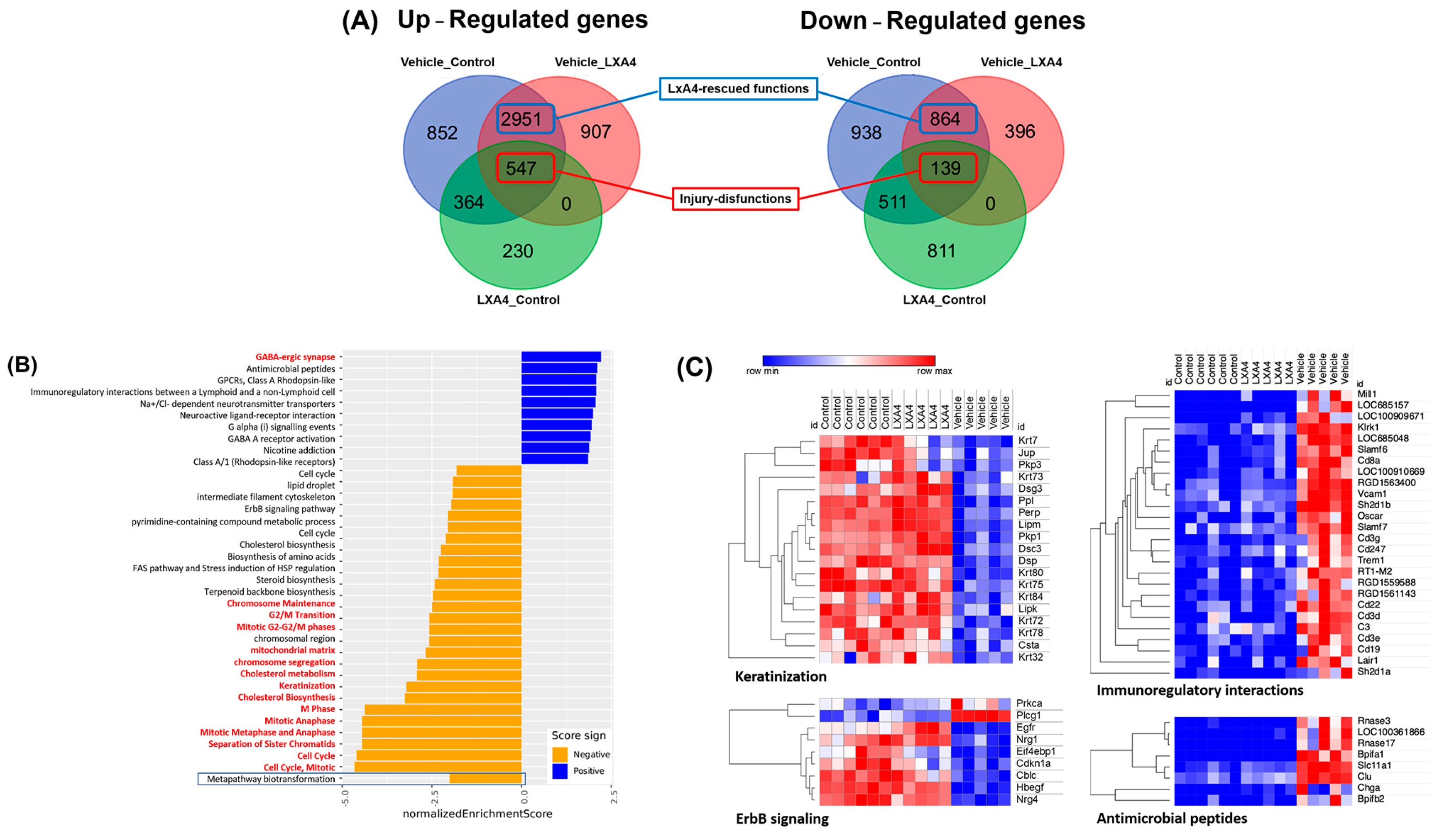 Biomolecules 13 00831 g003 Biomolecules 13 00831 g003