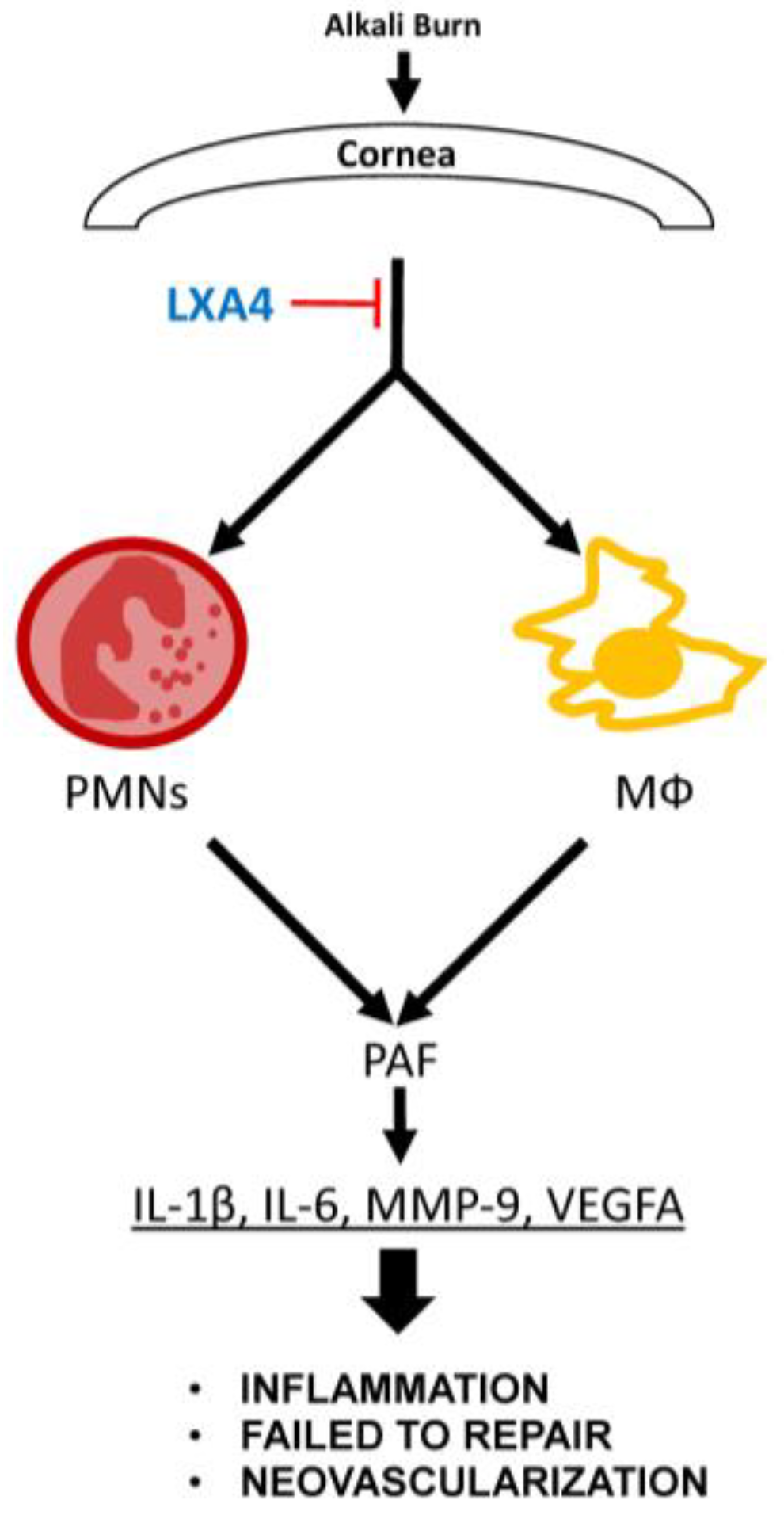 Biomolecules 13 00831 g005 Biomolecules 13 00831 g005