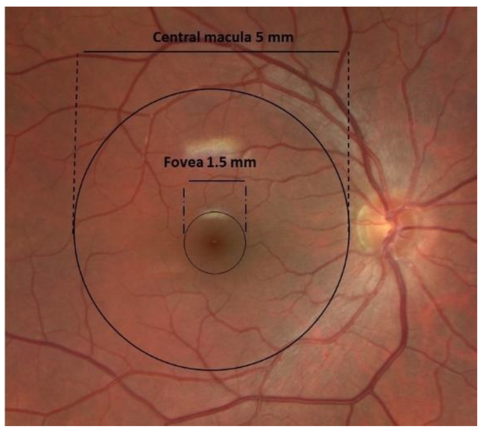 Biomolecules 13 00832 g001