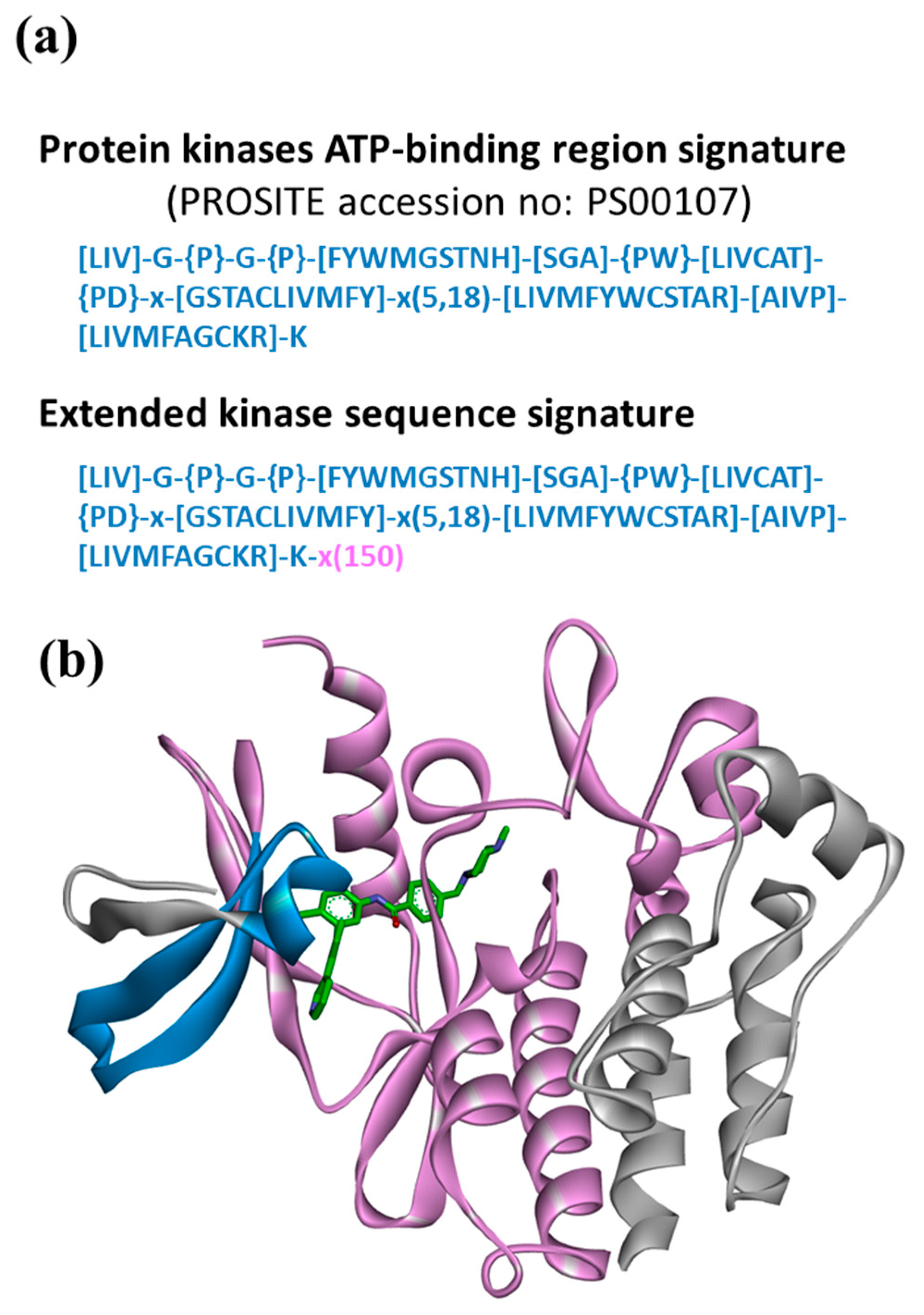 Biomolecules 13 00833 g002