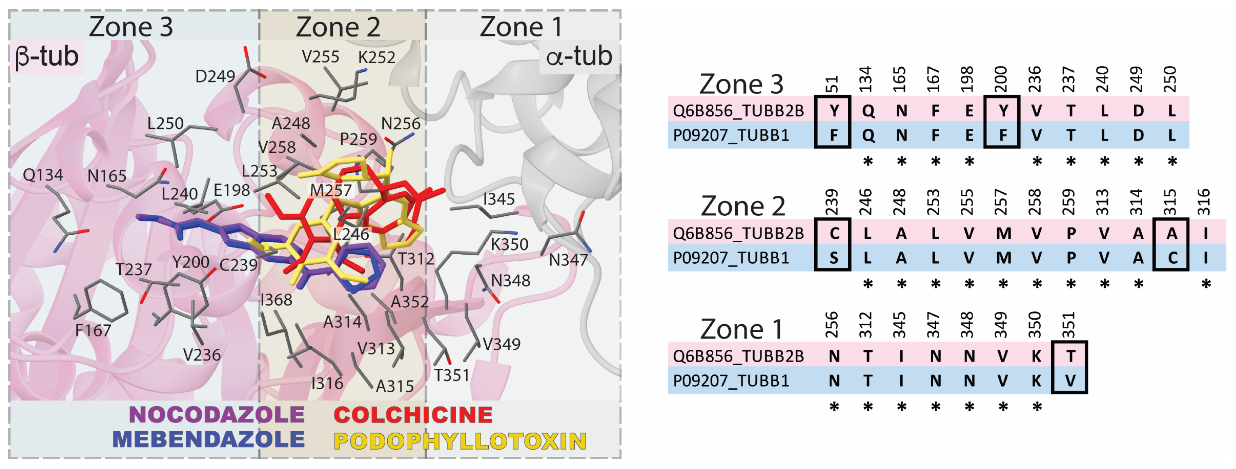 Biomolecules 13 00834 g001