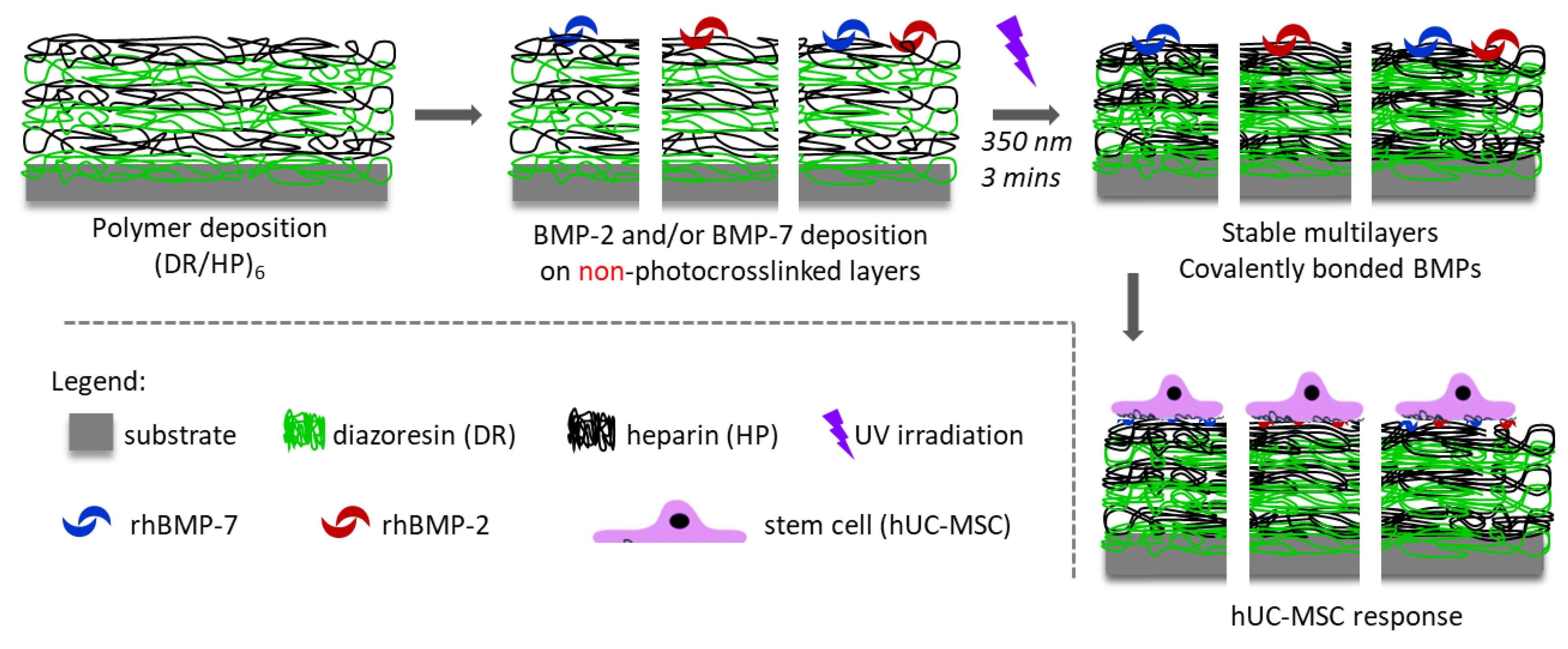 Biomolecules 13 00842 g001 Biomolecules 13 00842 g001