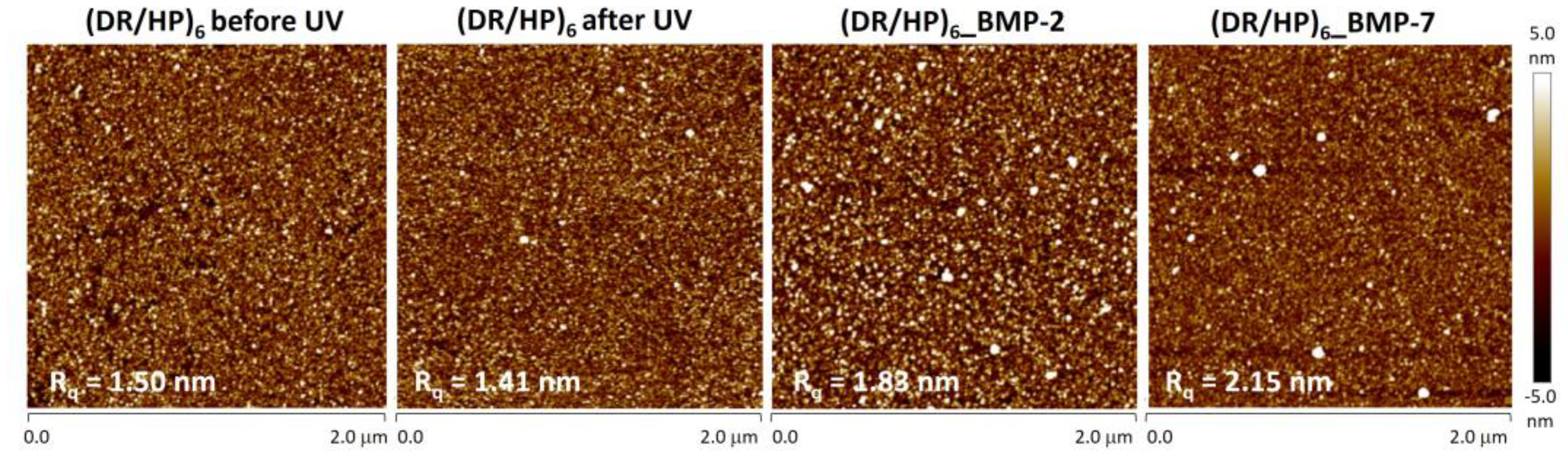 Biomolecules 13 00842 g003 Biomolecules 13 00842 g003