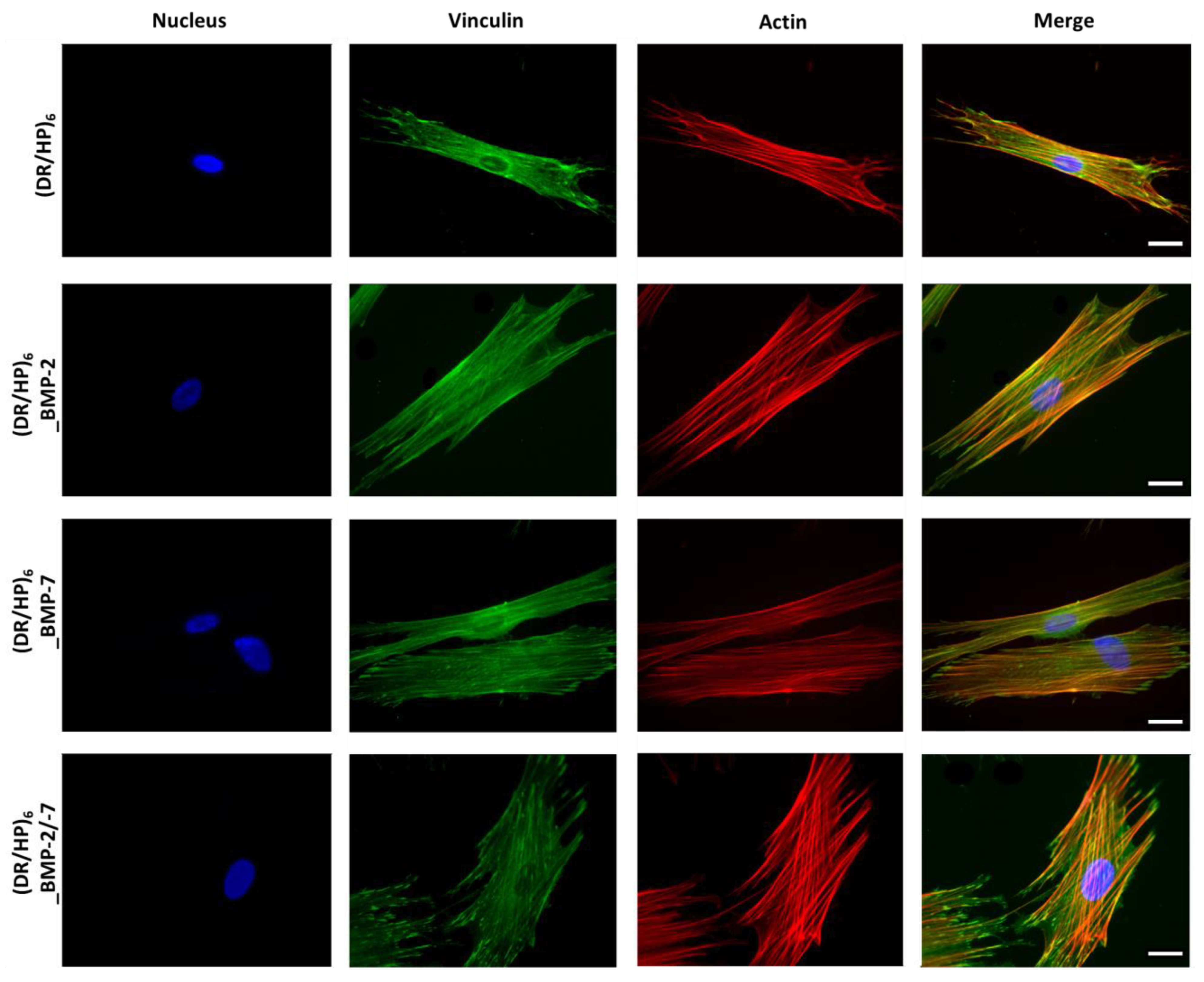 Biomolecules 13 00842 g005 Biomolecules 13 00842 g005