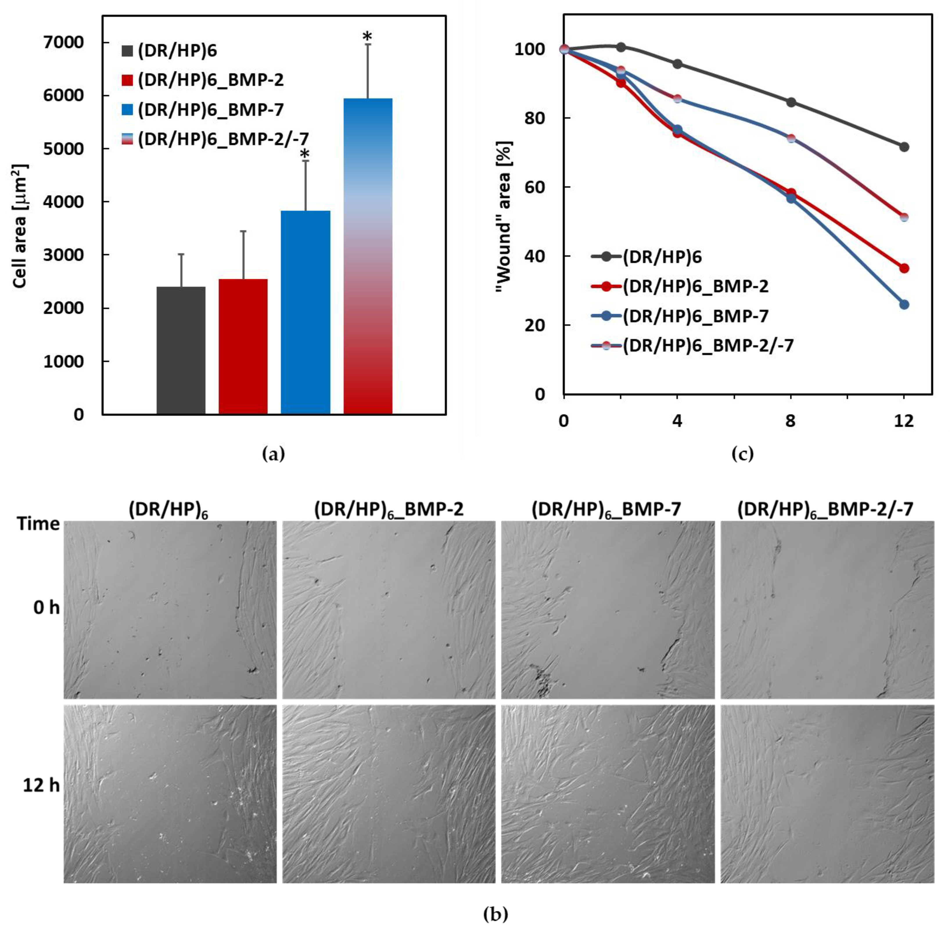 Biomolecules 13 00842 g006 Biomolecules 13 00842 g006