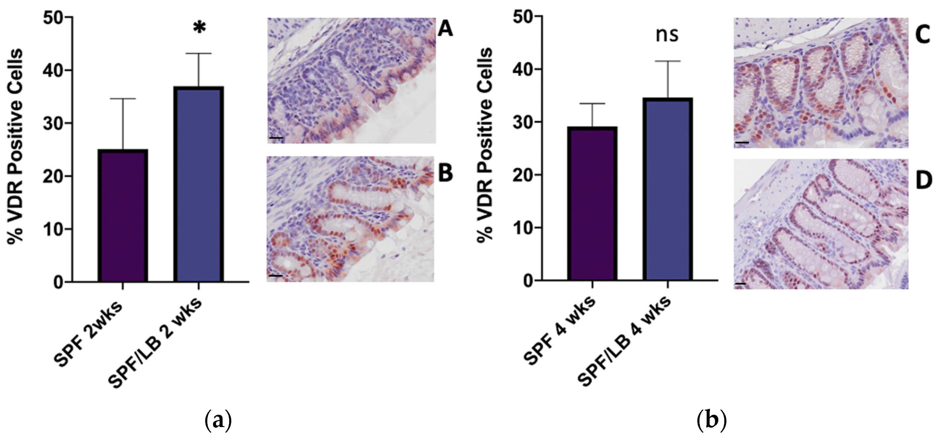 Biomolecules 13 00847 g002