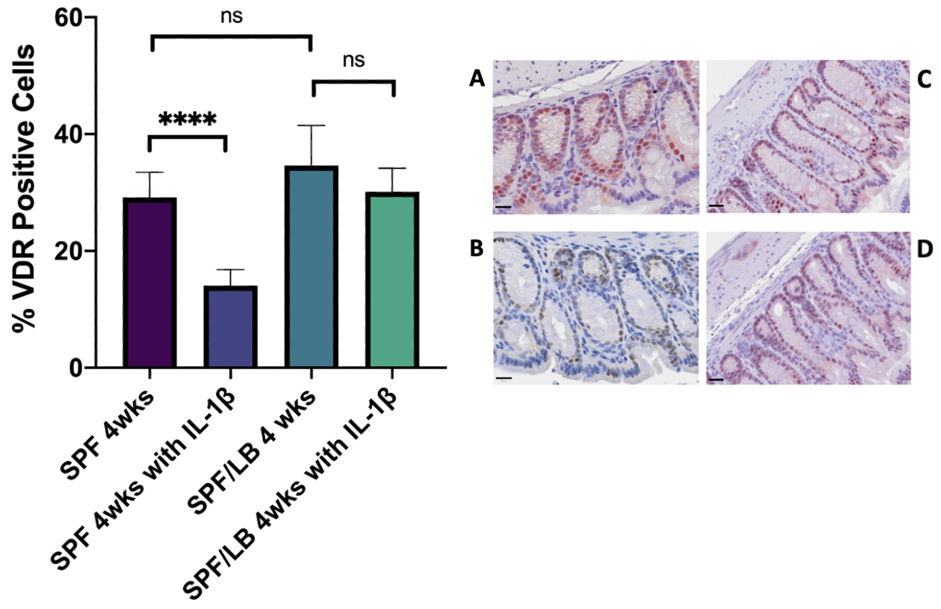 Biomolecules 13 00847 g003