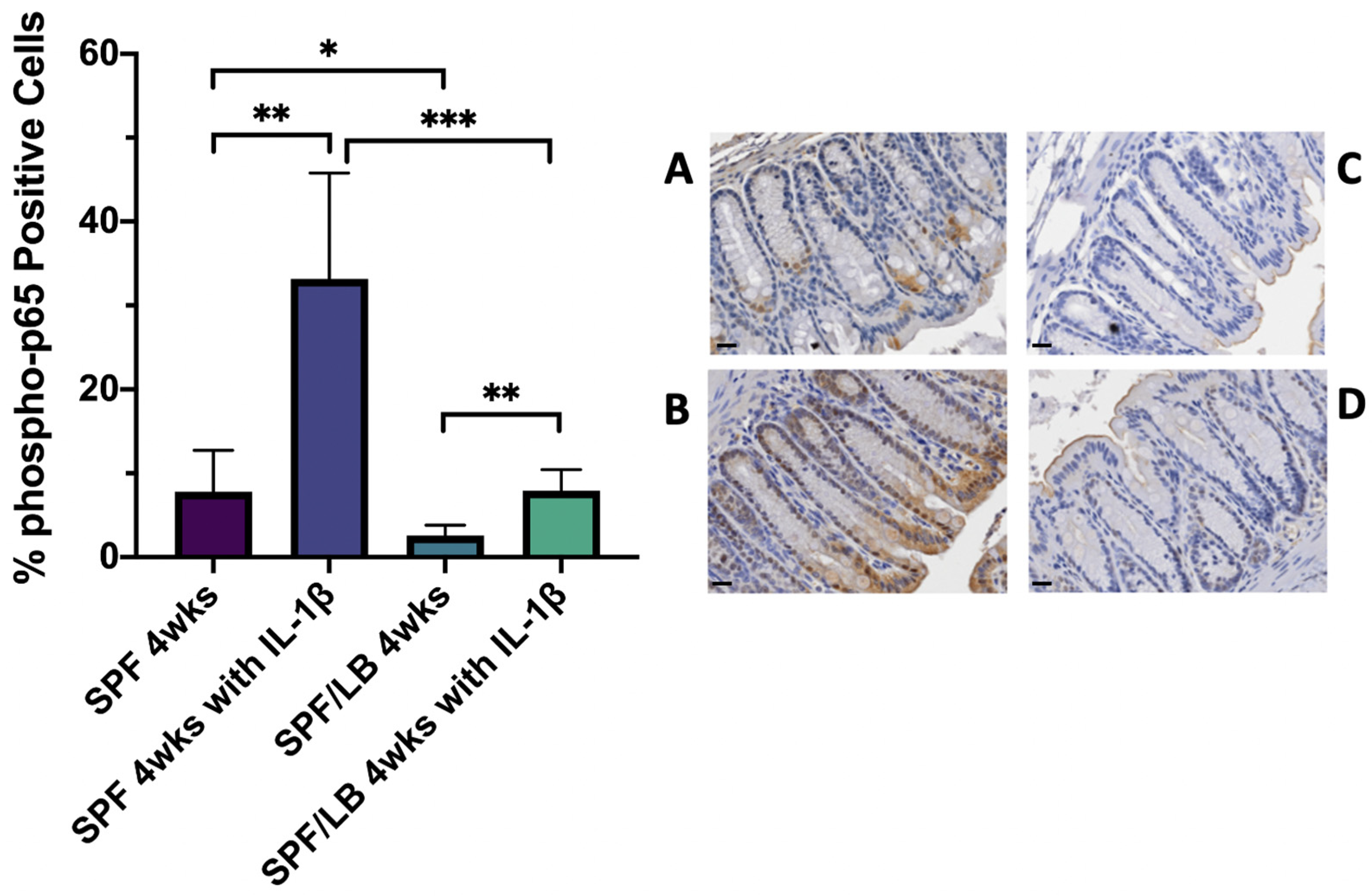 Biomolecules 13 00847 g004