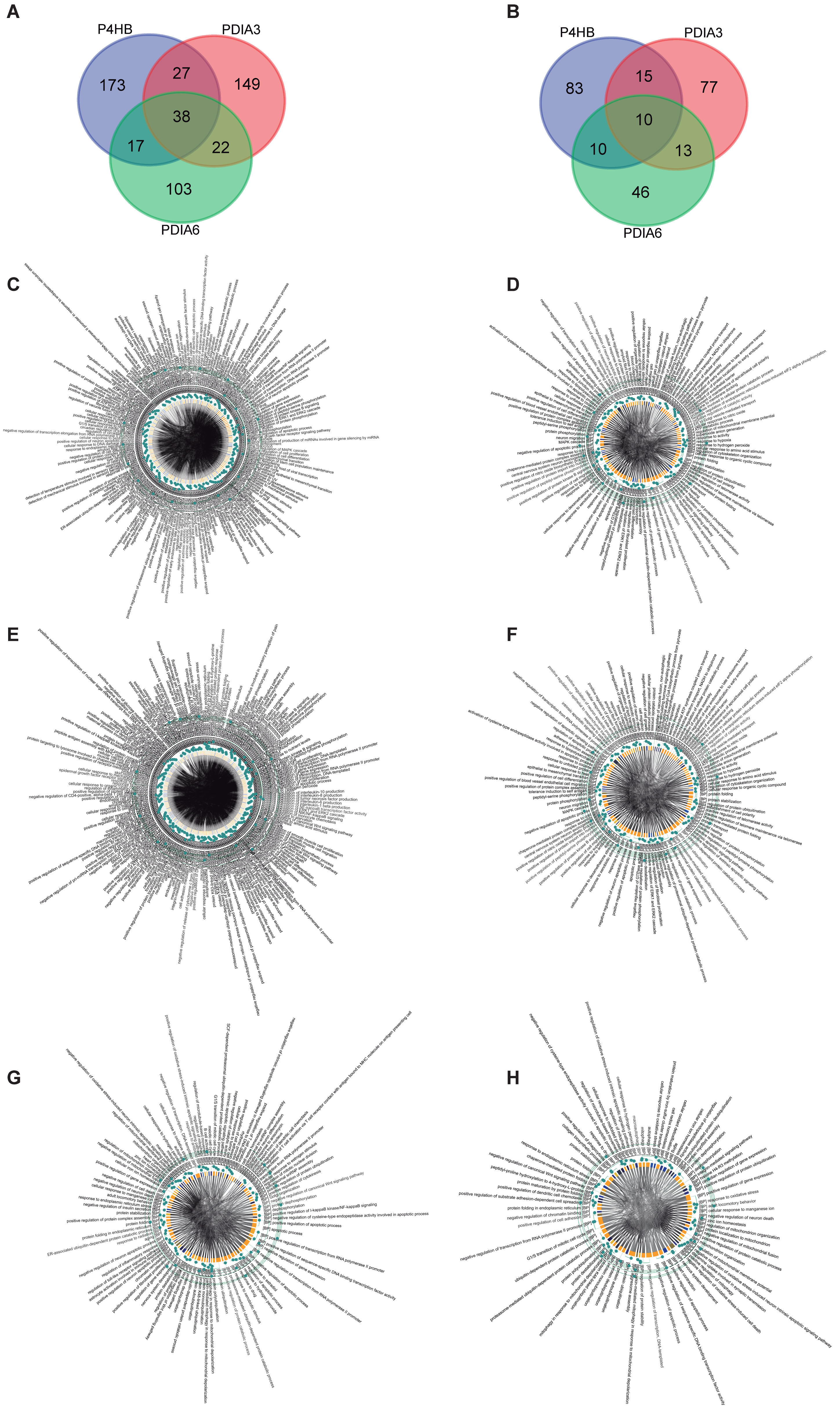 Biomolecules 13 00848 g002