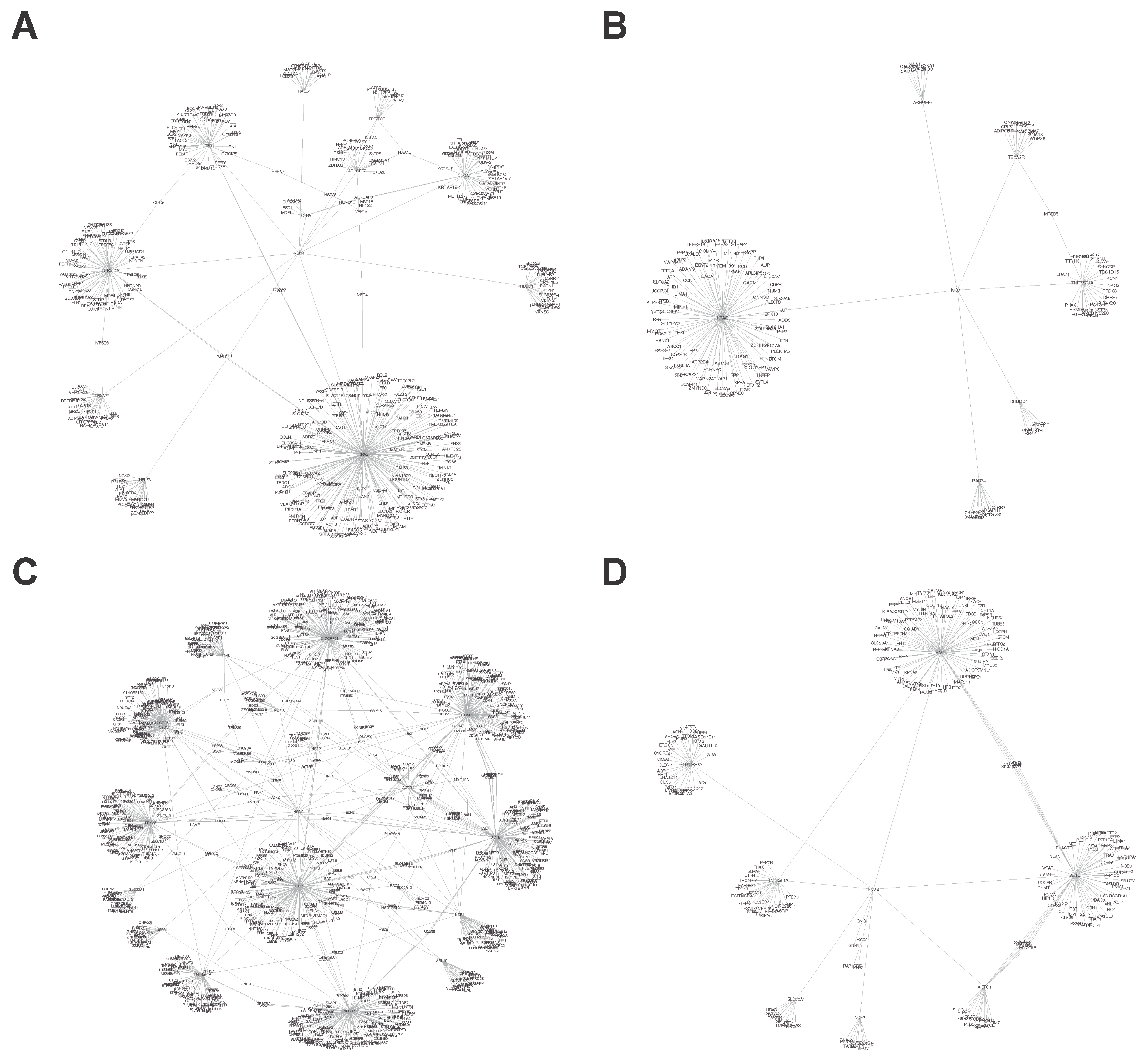 Biomolecules 13 00848 g006