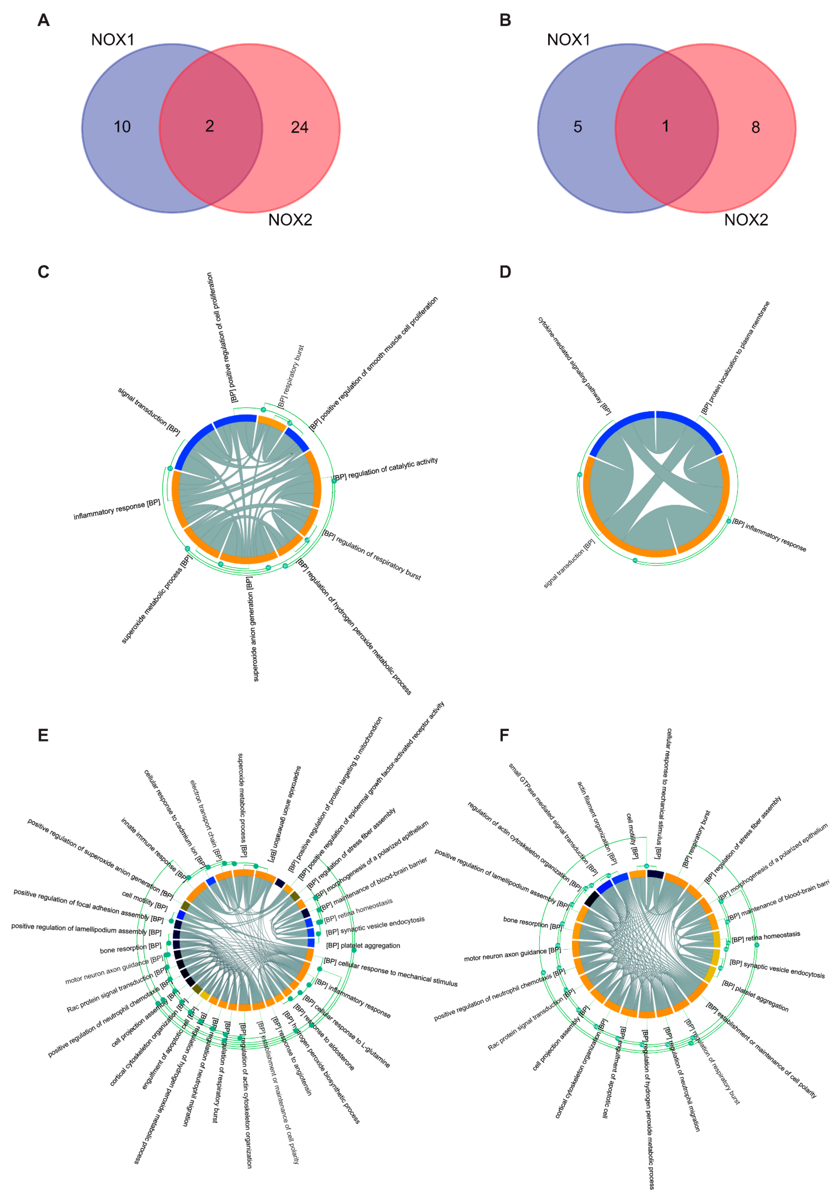 Biomolecules 13 00848 g007