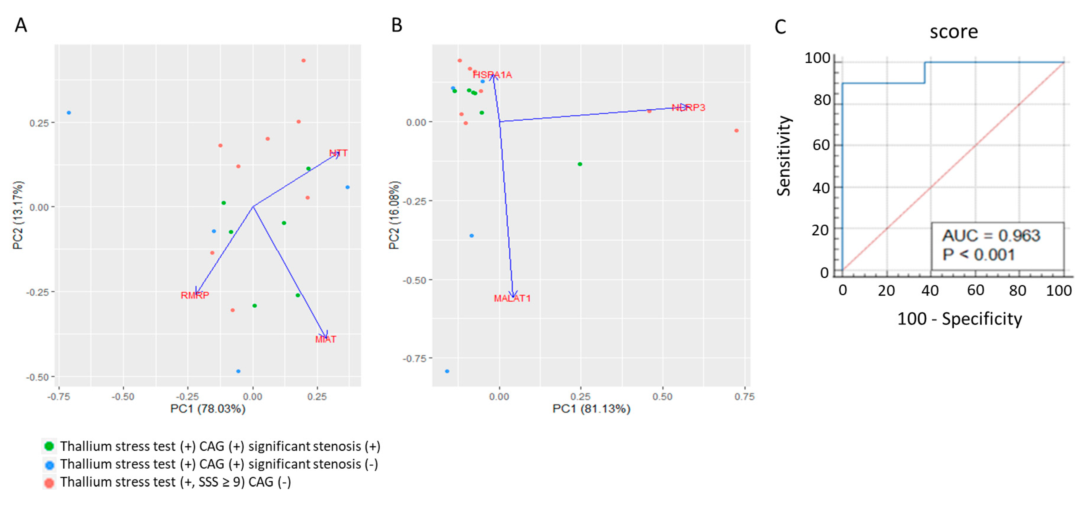 Biomolecules 13 00849 g005