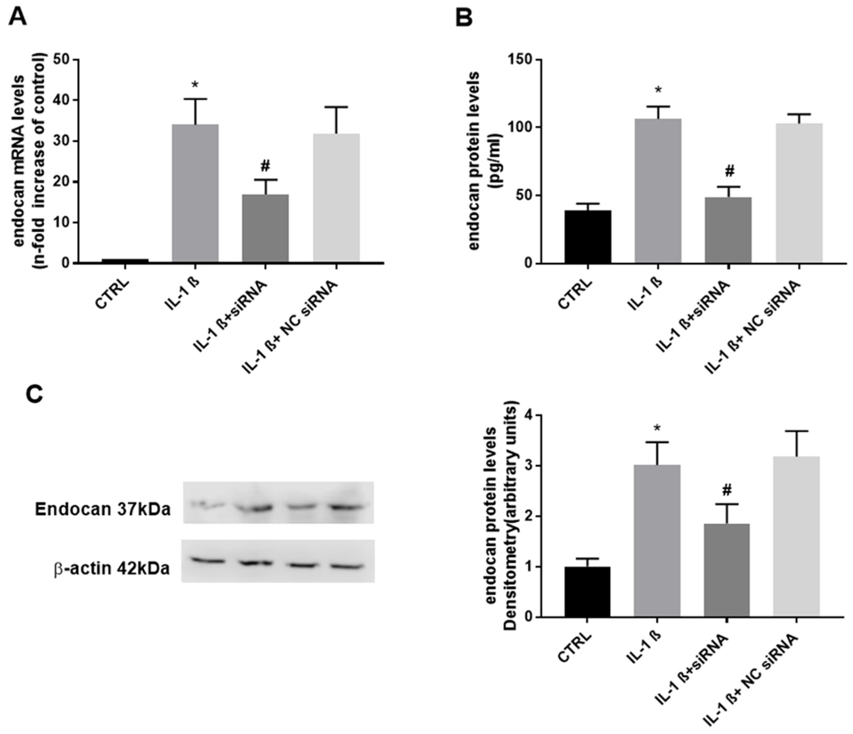 Biomolecules 13 00851 g001