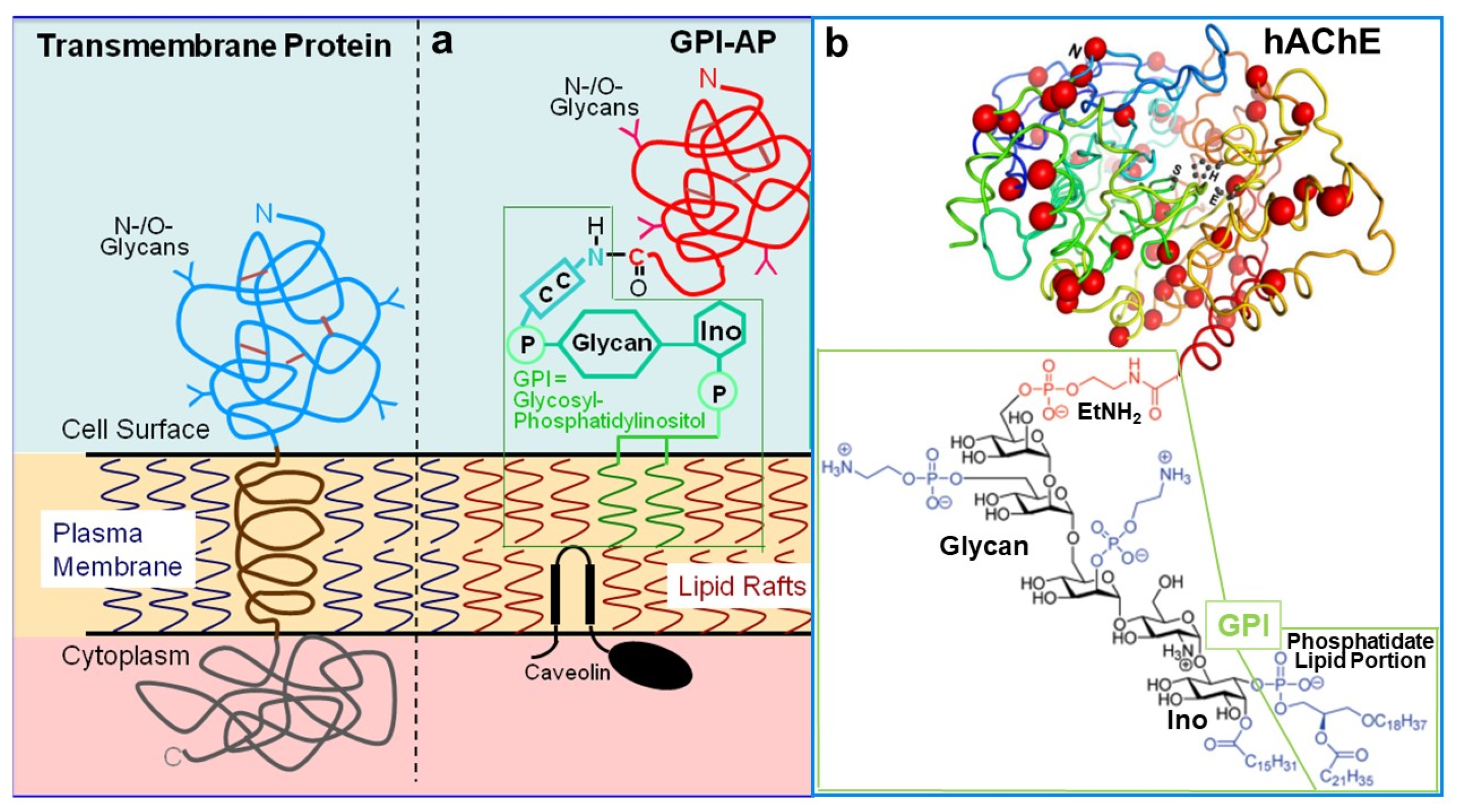 Biomolecules 13 00855 g001