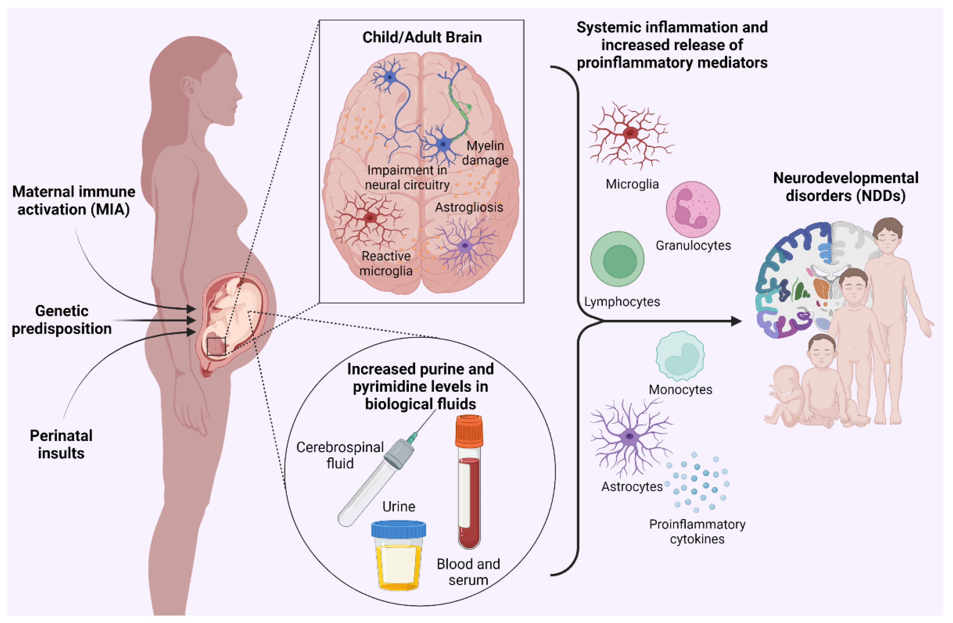 Biomolecules 13 00856 g001
