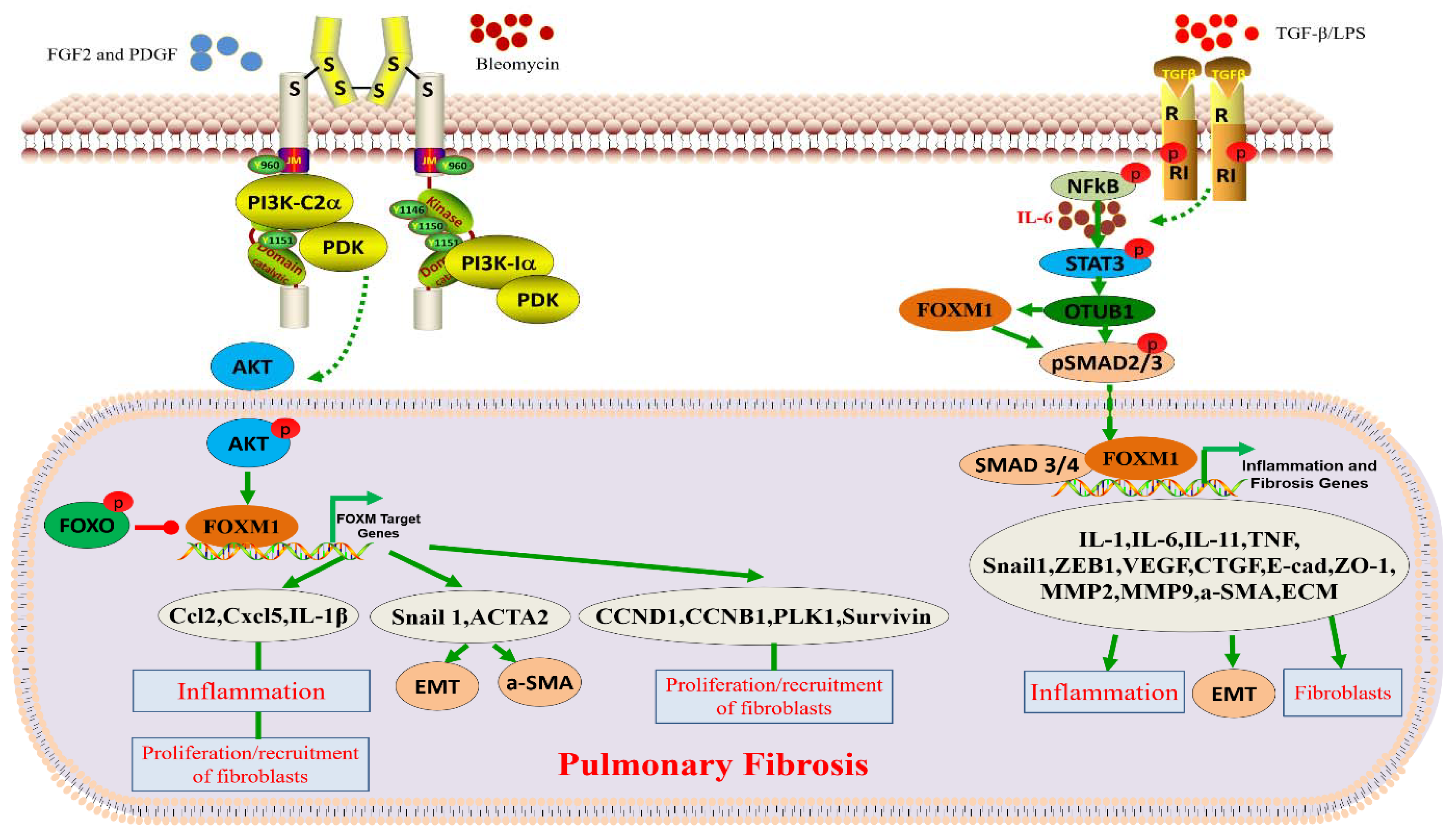 Biomolecules 13 00857 g002
