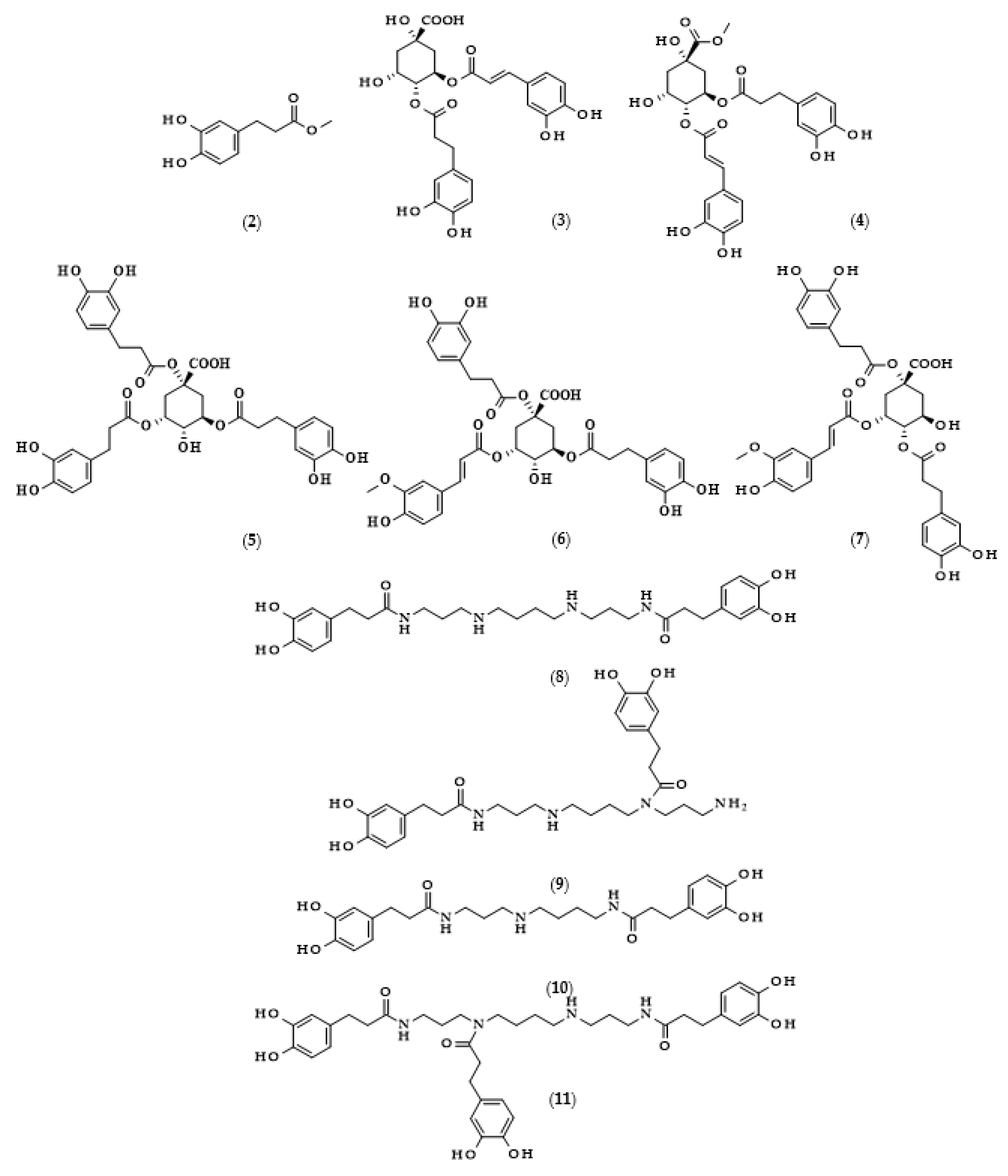 Biomolecules 13 00859 g002a Biomolecules 13 00859 g002a