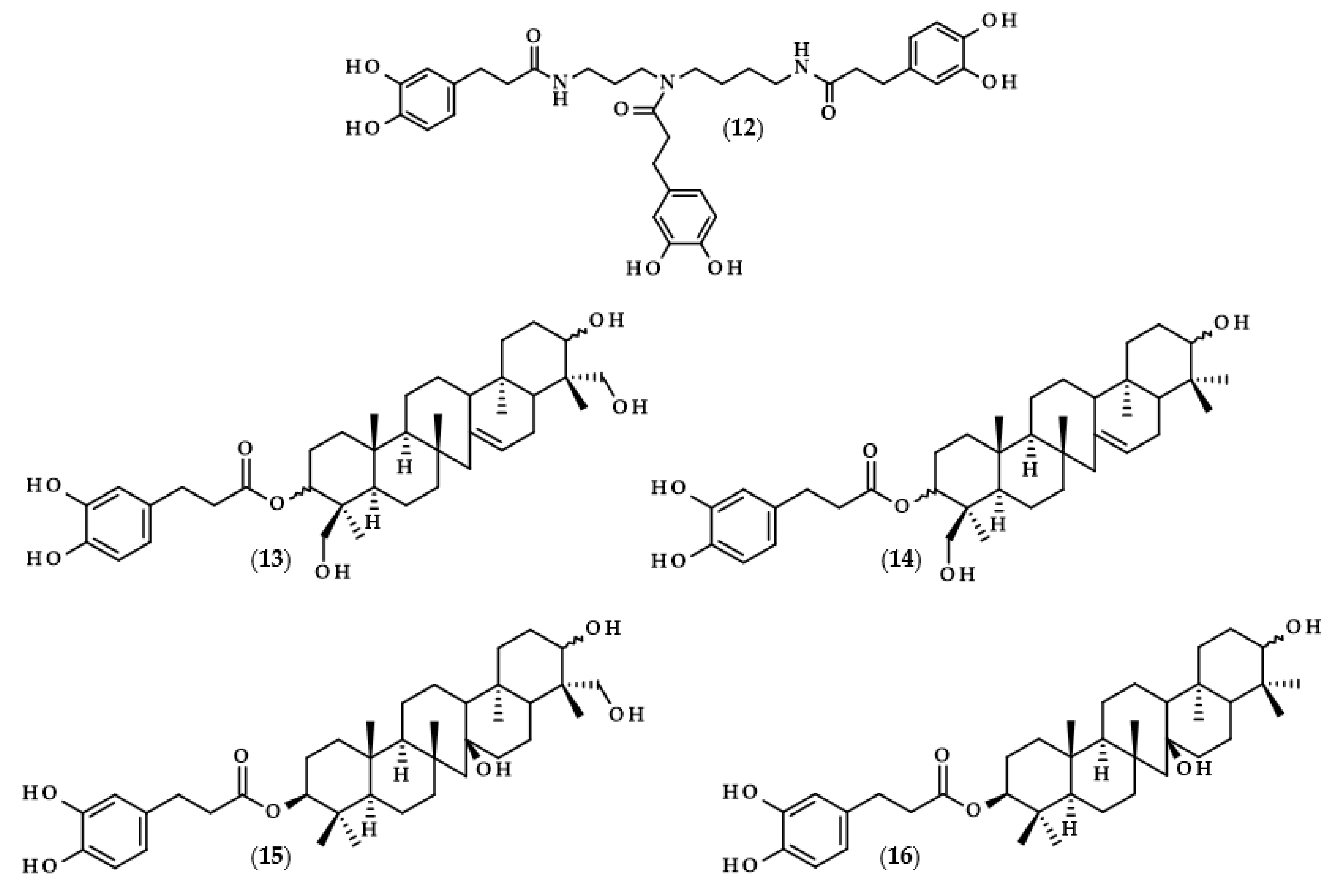 Biomolecules 13 00859 g002b Biomolecules 13 00859 g002b