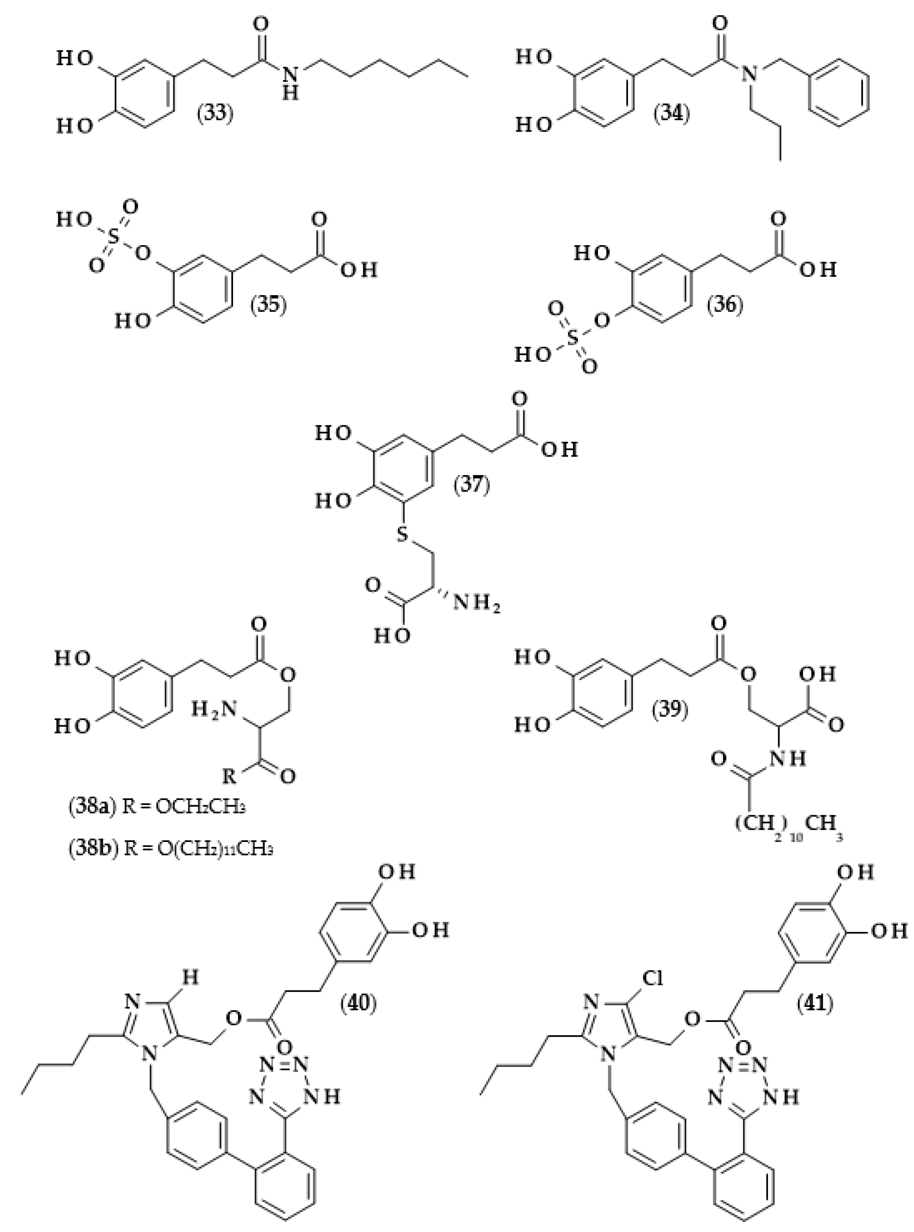 Biomolecules 13 00859 g008 Biomolecules 13 00859 g008
