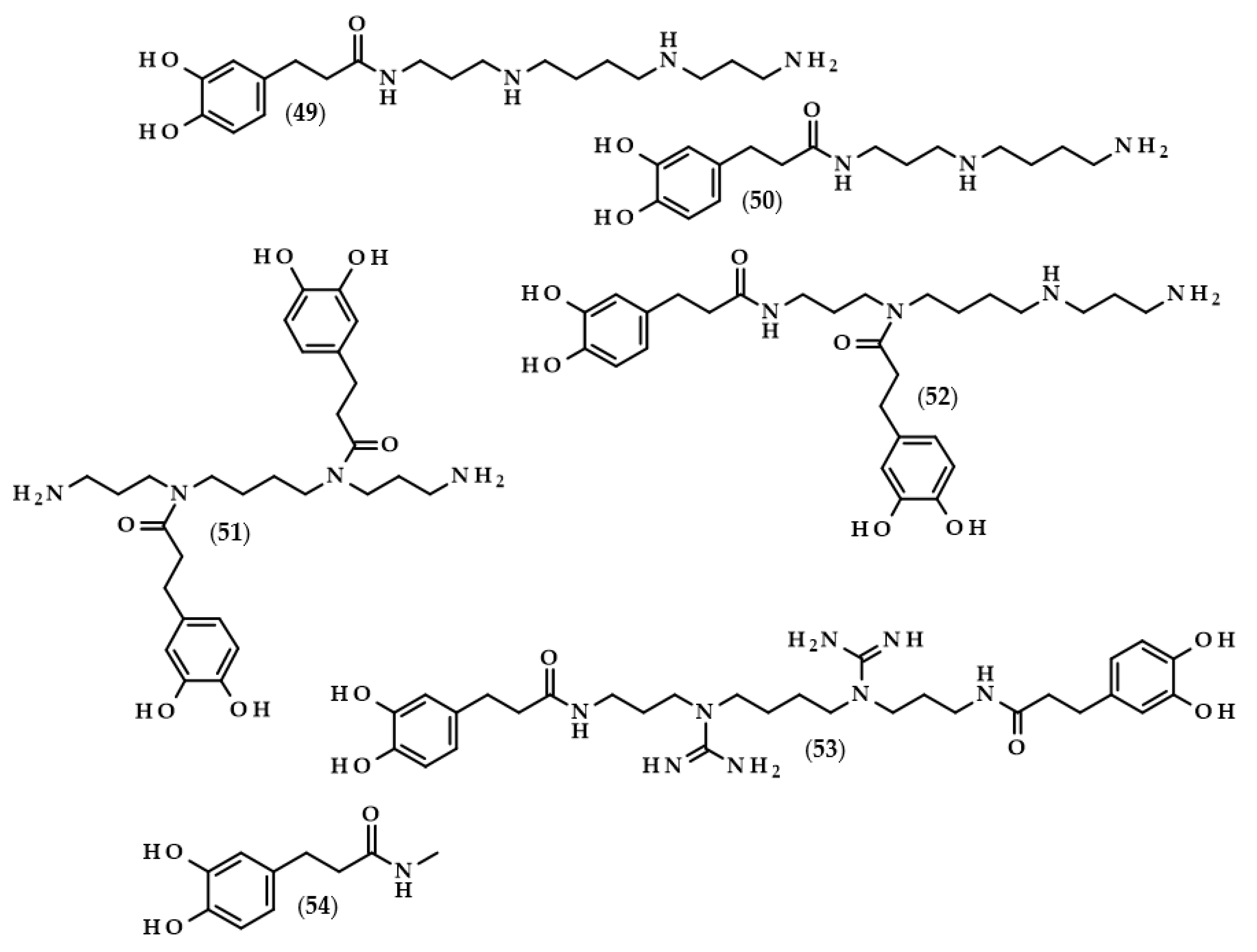 Biomolecules 13 00859 g012 Biomolecules 13 00859 g012
