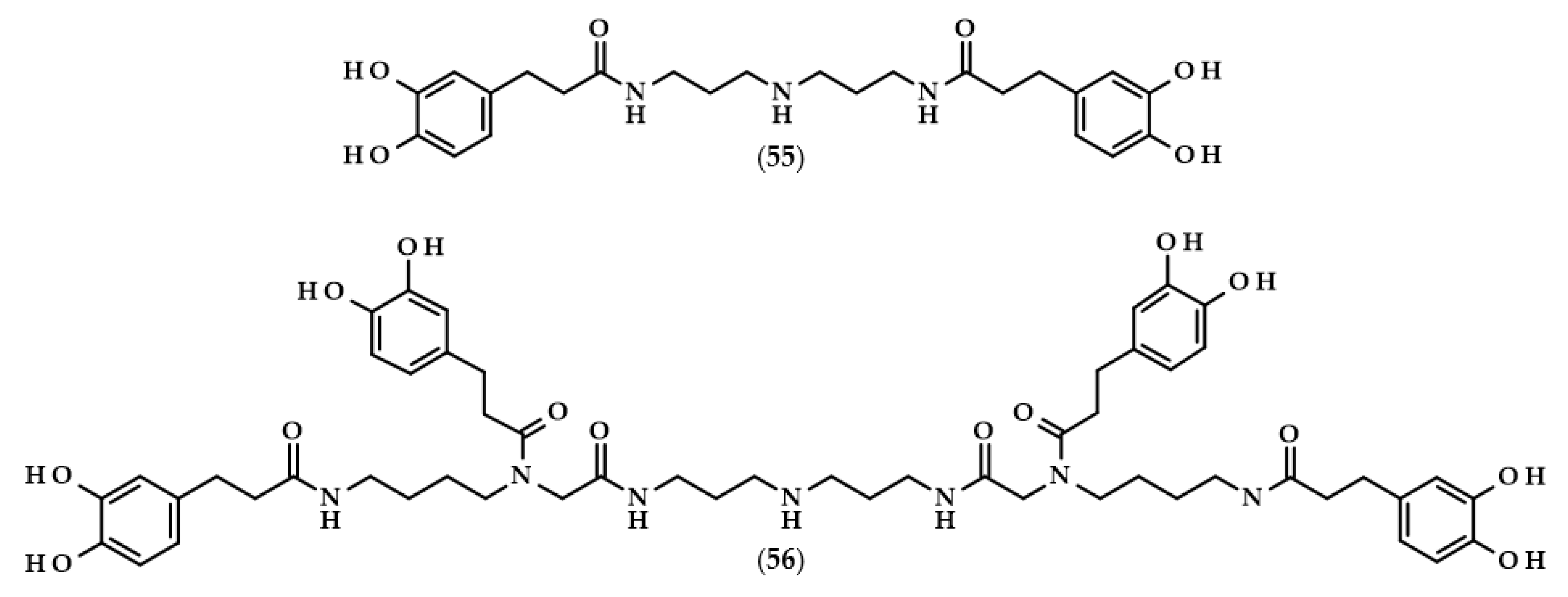 Biomolecules 13 00859 g013 Biomolecules 13 00859 g013