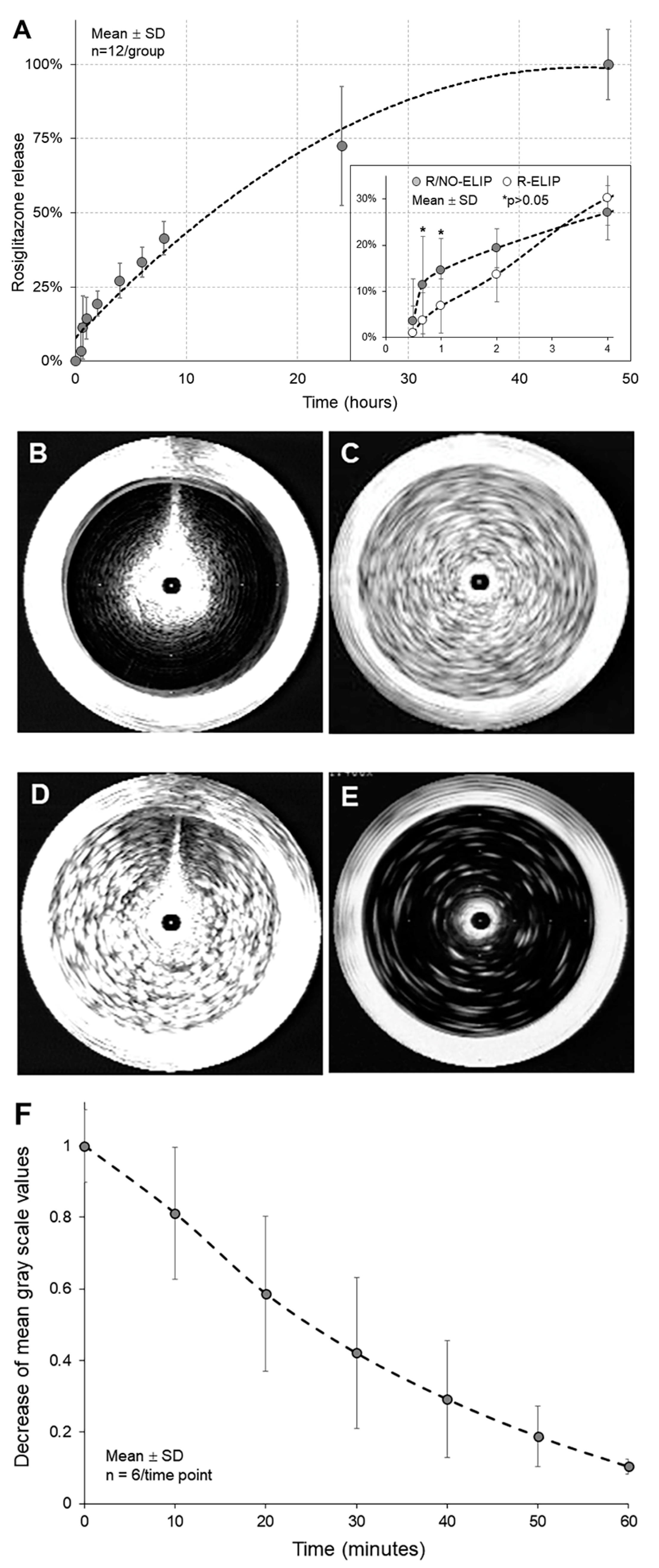 Biomolecules 13 00861 g001