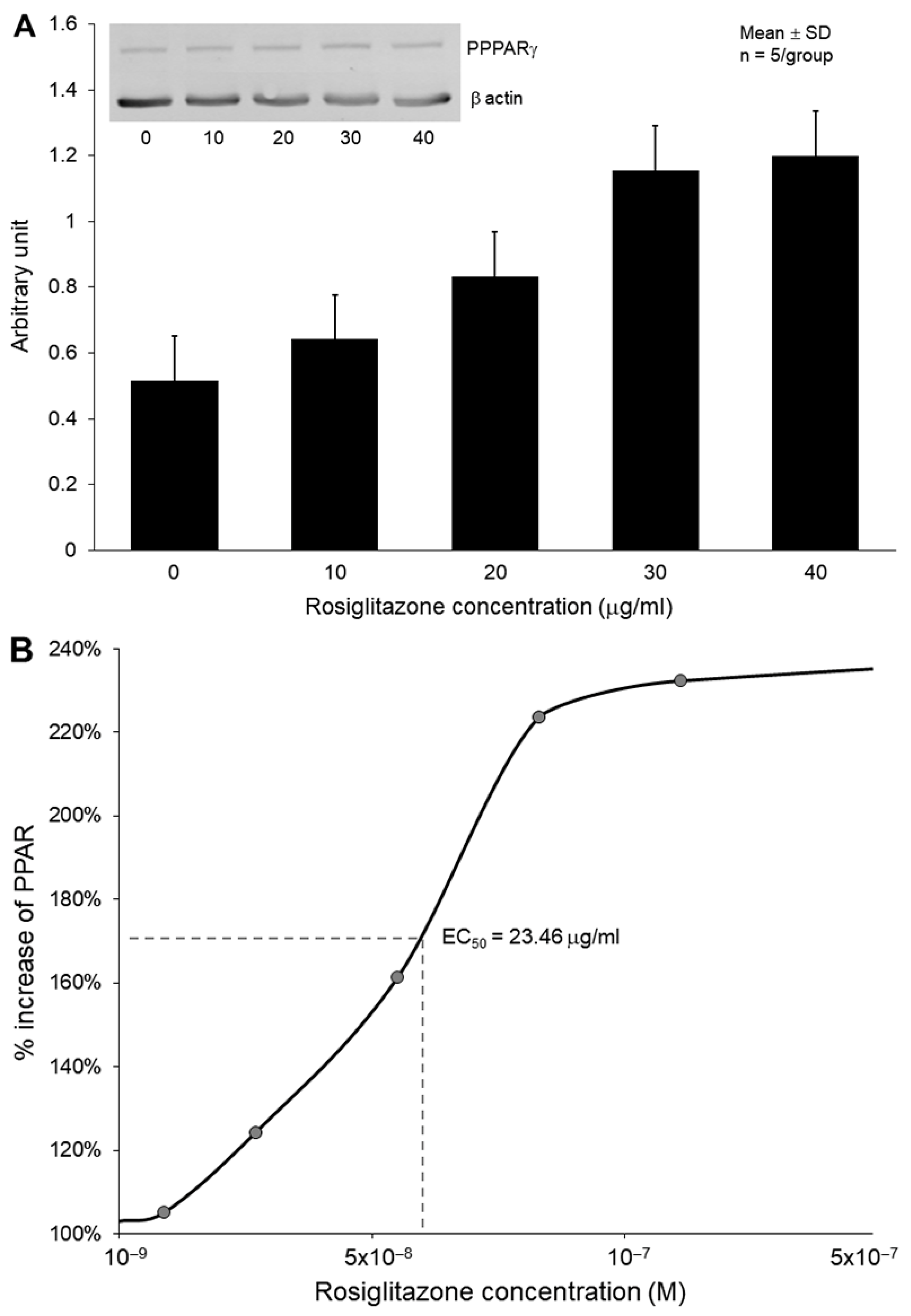 Biomolecules 13 00861 g003