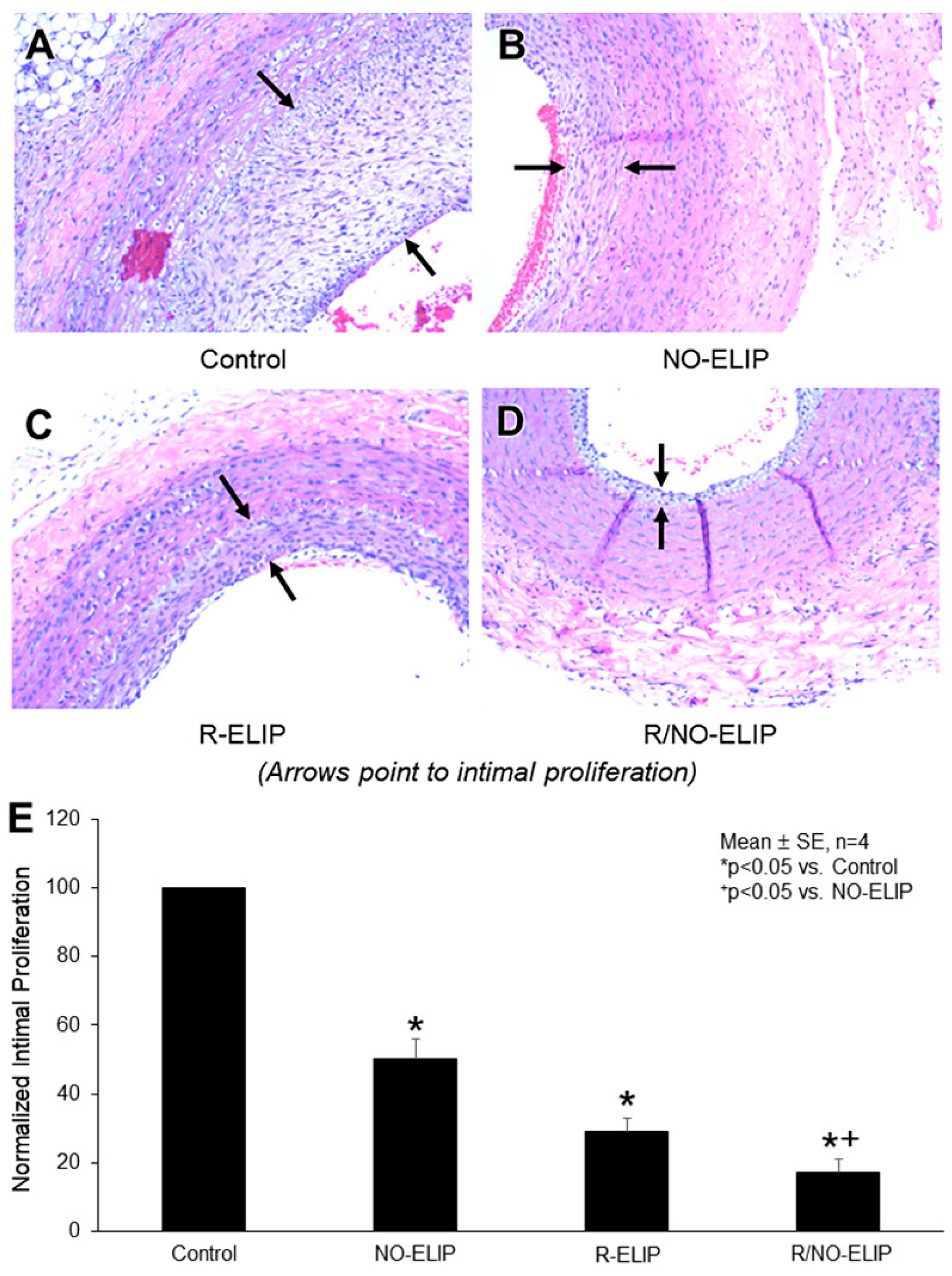 Biomolecules 13 00861 g005
