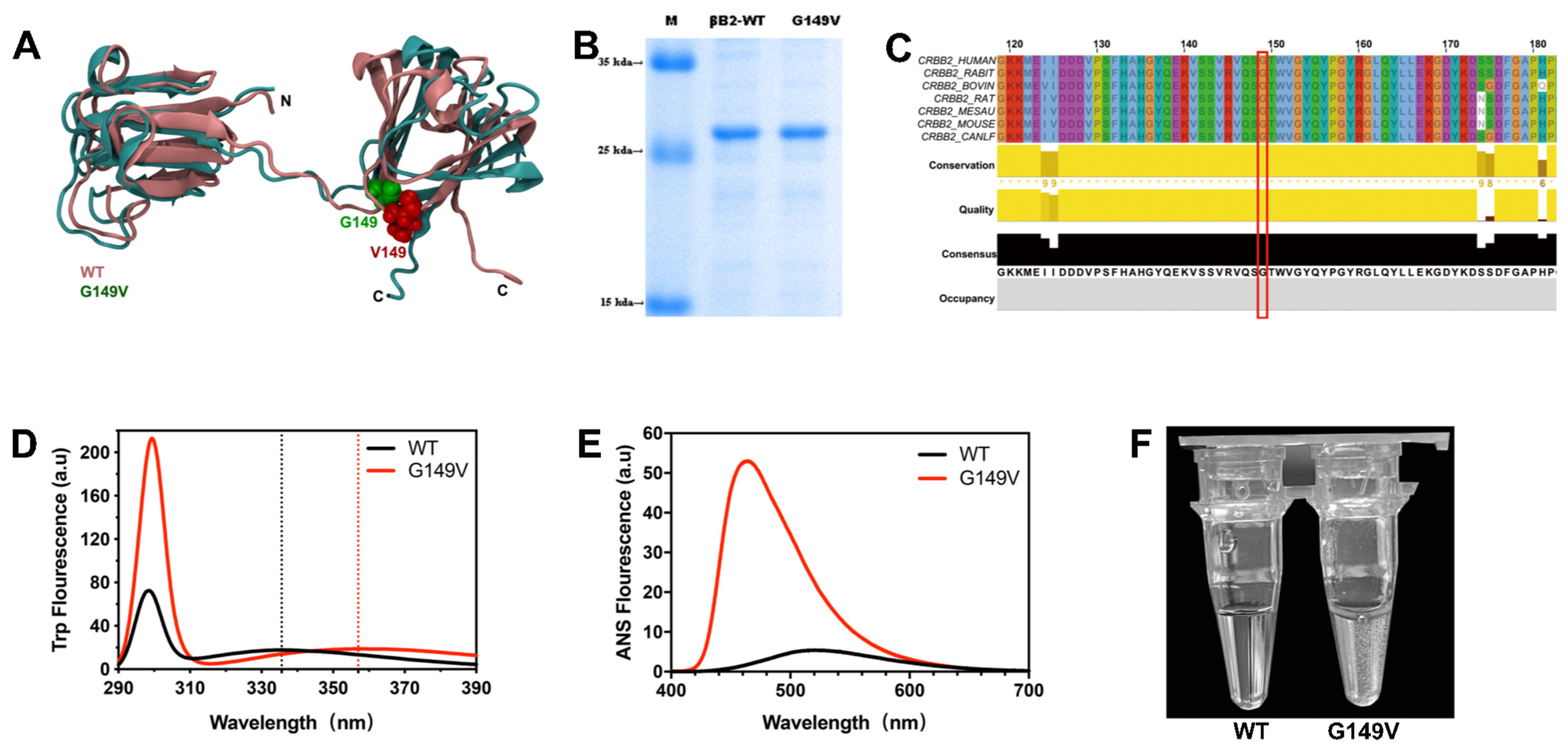 Biomolecules 13 00864 g001 Biomolecules 13 00864 g001