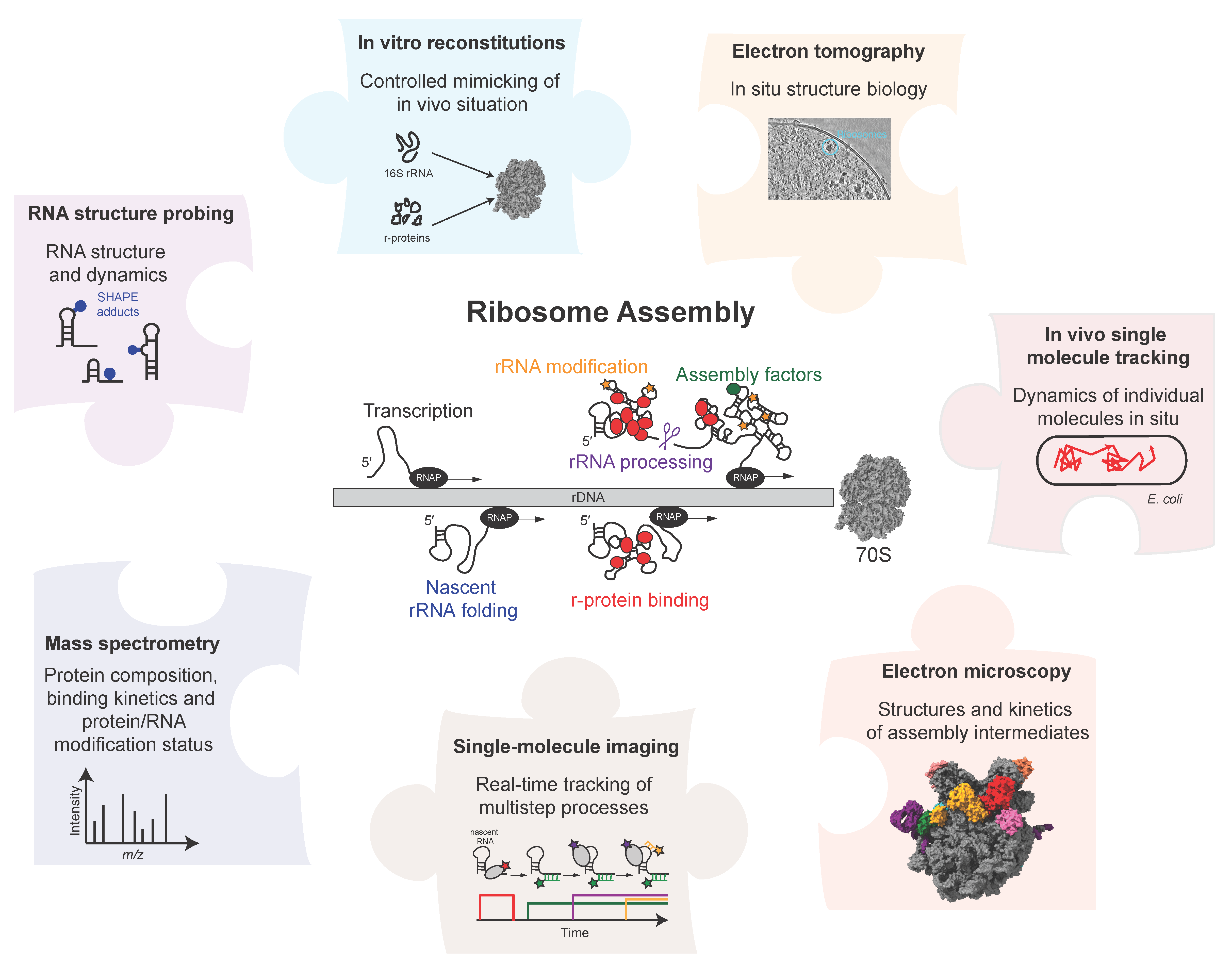 Biomolecules 13 00866 g001 Biomolecules 13 00866 g001