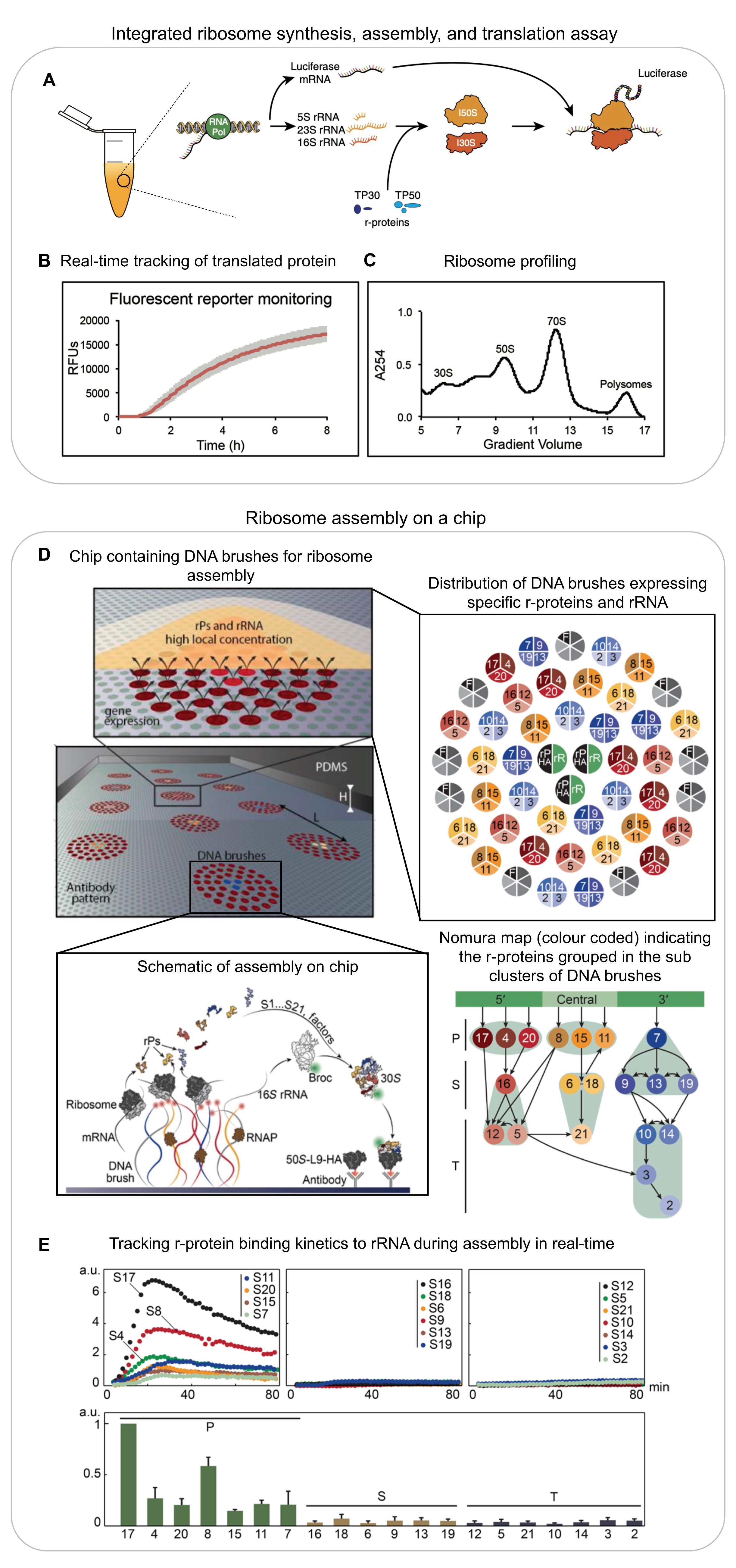Biomolecules 13 00866 g002 Biomolecules 13 00866 g002