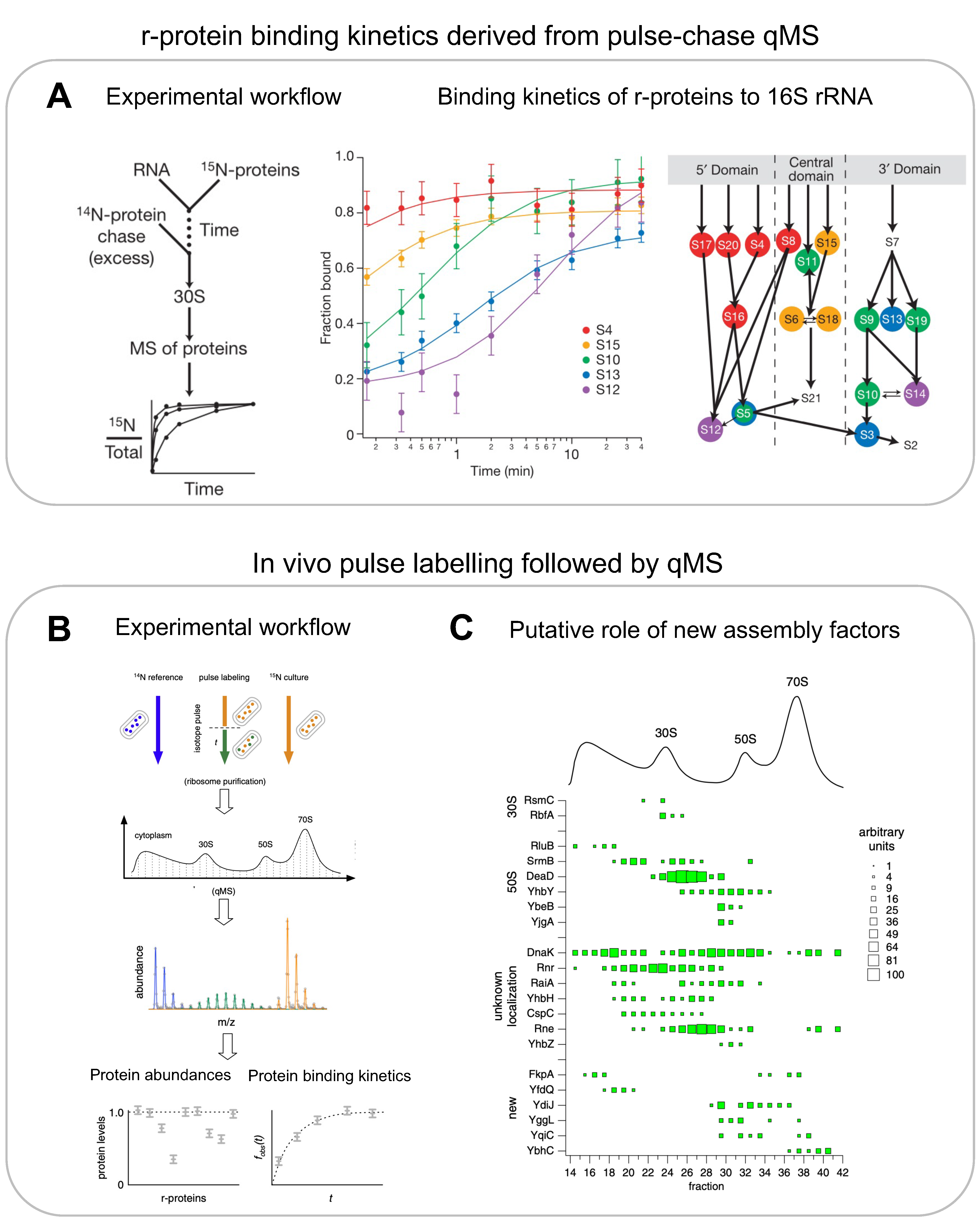 Biomolecules 13 00866 g003 Biomolecules 13 00866 g003