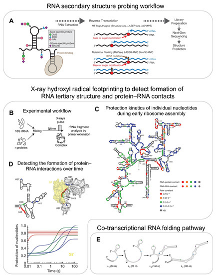 Biomolecules 13 00866 g005