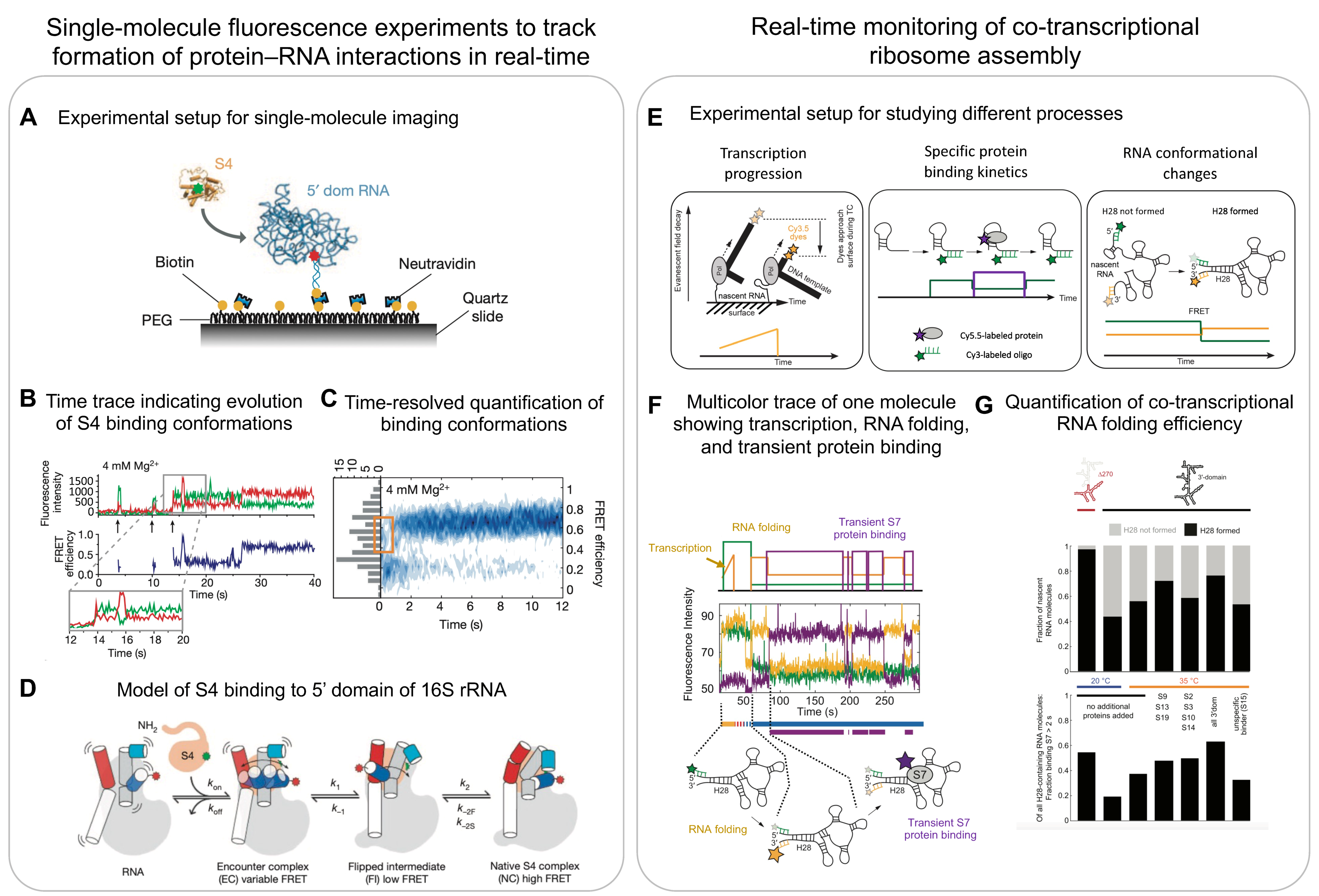 Biomolecules 13 00866 g006 Biomolecules 13 00866 g006