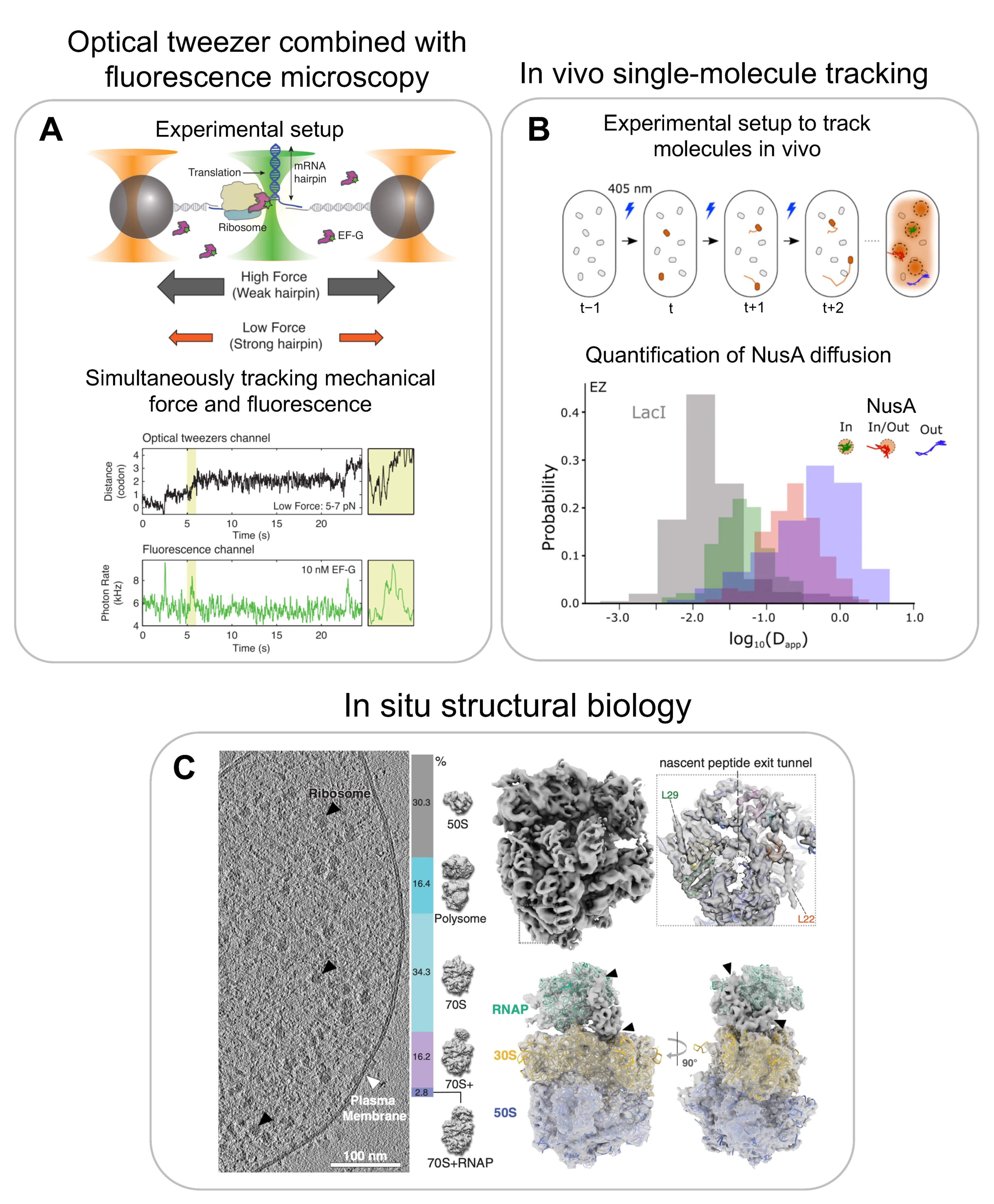 Biomolecules 13 00866 g007 Biomolecules 13 00866 g007