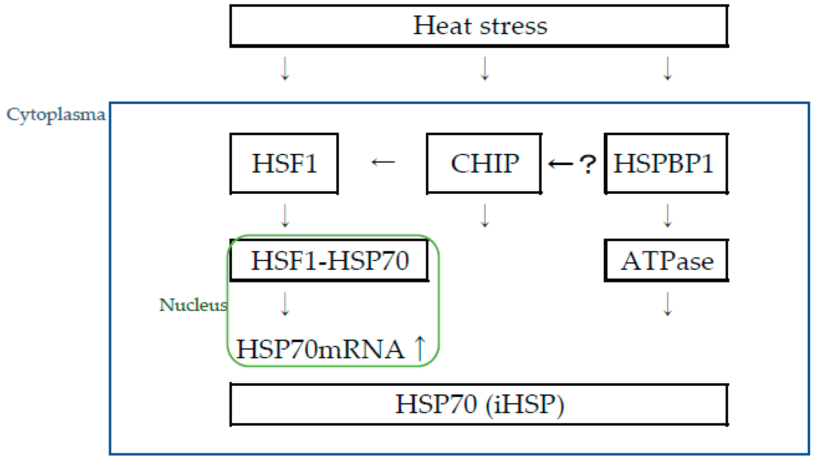 Biomolecules 13 00867 g001